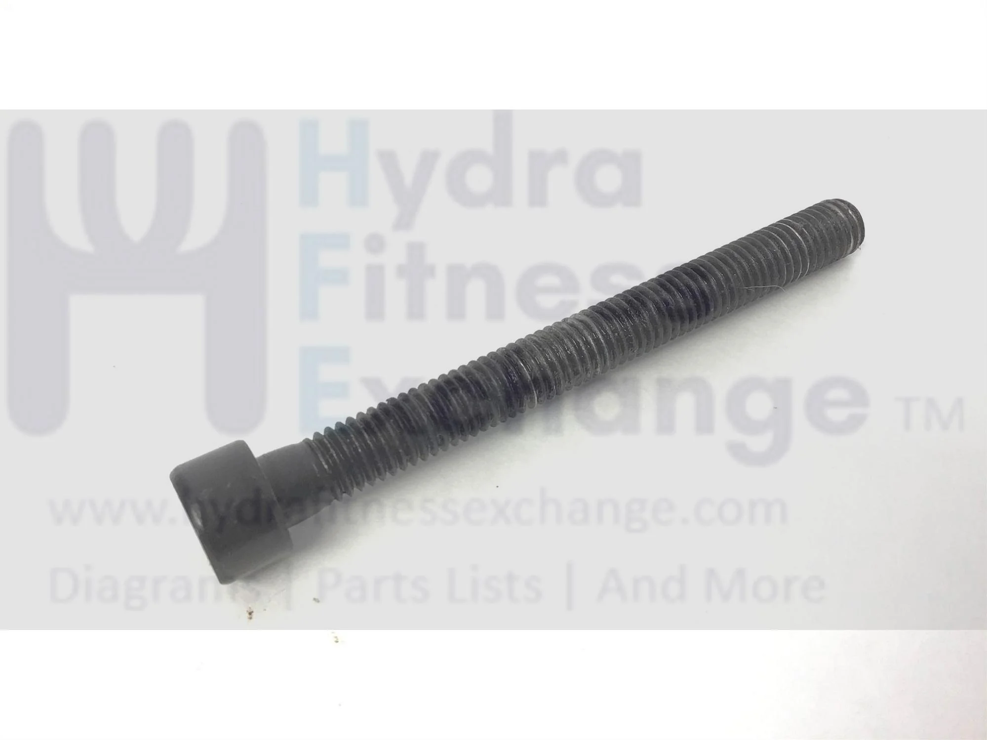Horizon Fitness 7.0AT-04 Treadmill Round Head Screw M8X1.25PX80L-75L 1000204234