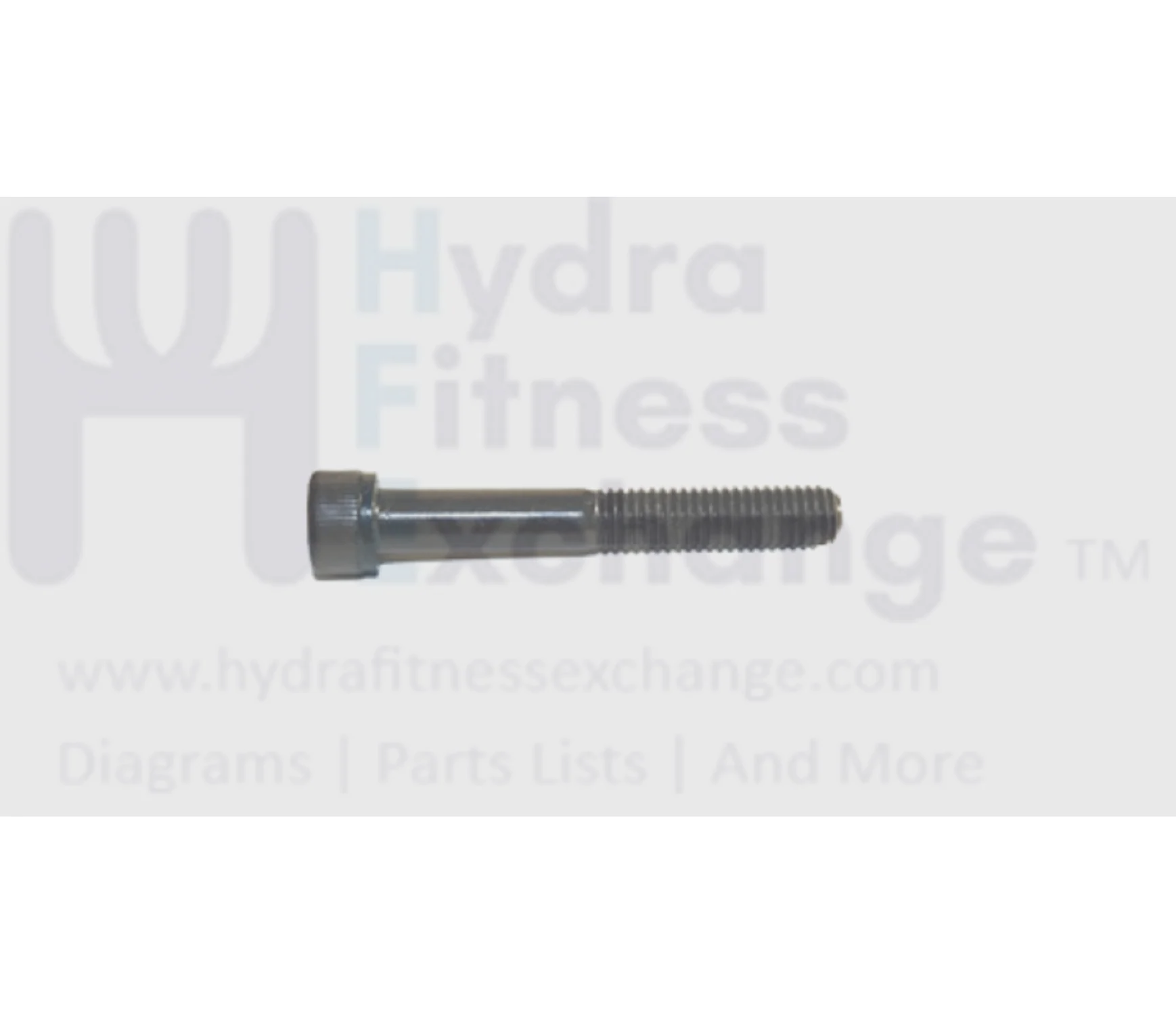 Horizon Fitness 7.0AT-04 Treadmill Round Head Socket Screw M8X1.25PX55L 020101-00