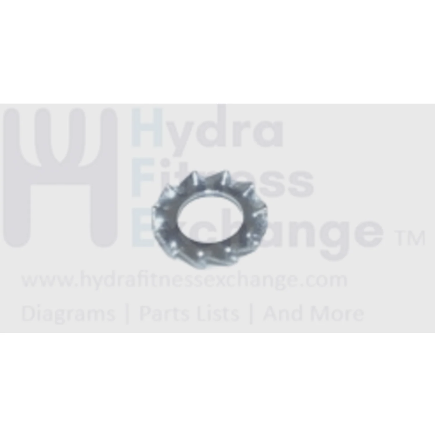 Horizon Fitness 7.0AT-04 Treadmill Tooth Washer 5.3 X 10.0 X 0.6T 020491-00