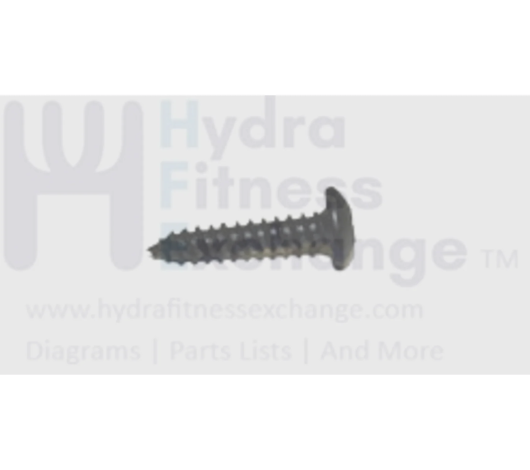Horizon Fitness 7.0AT-04 Treadmill Umbrella Cross Tapped Screw 4X20L 004624-00