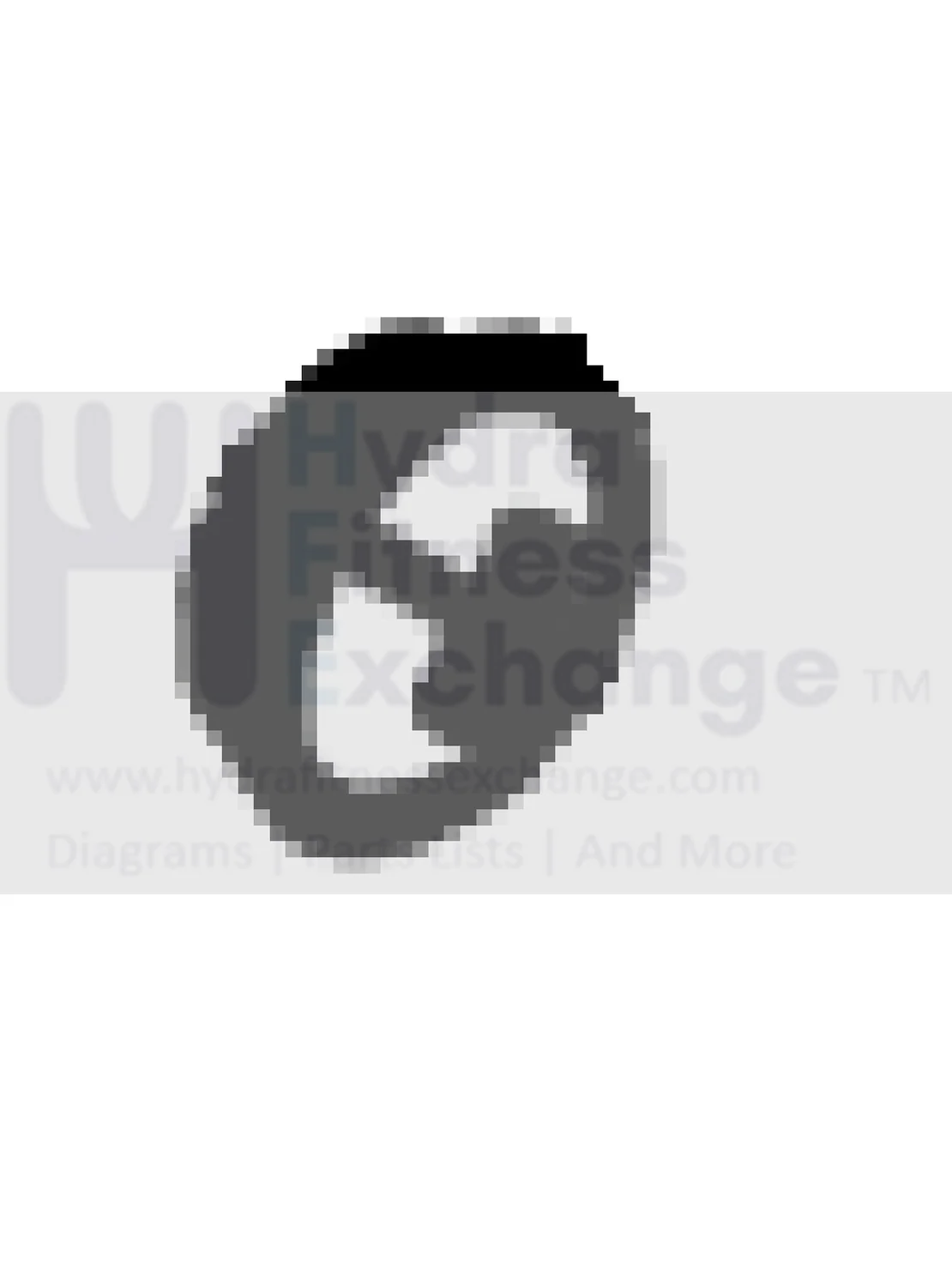 Horizon Fitness FC50 FC51 Stationary Bike Crank Arm End Cap 1000469840