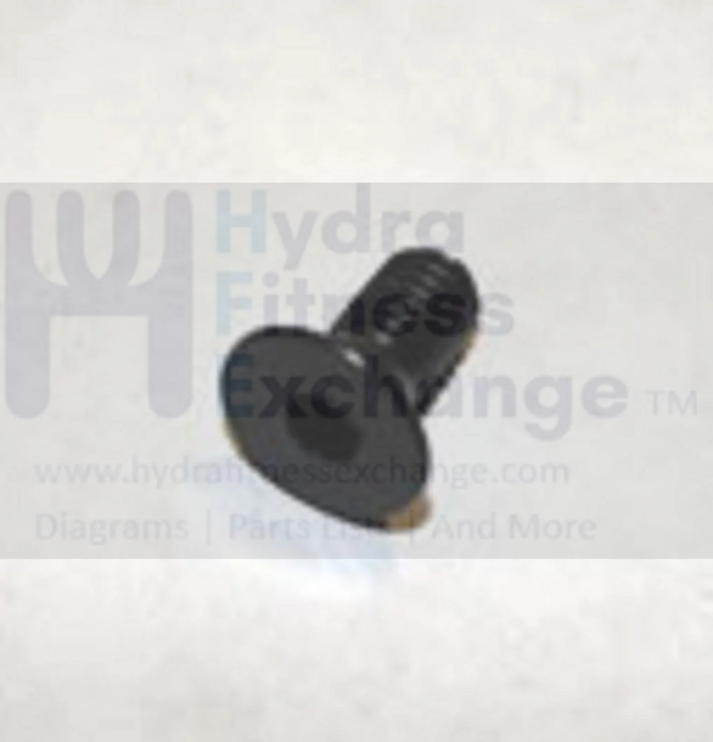 Horizon Fitness 7.0IC - FC50 C101 - FC51 Stationary Bike Flat Head Screw M8x1.25Px15L 004574-AD