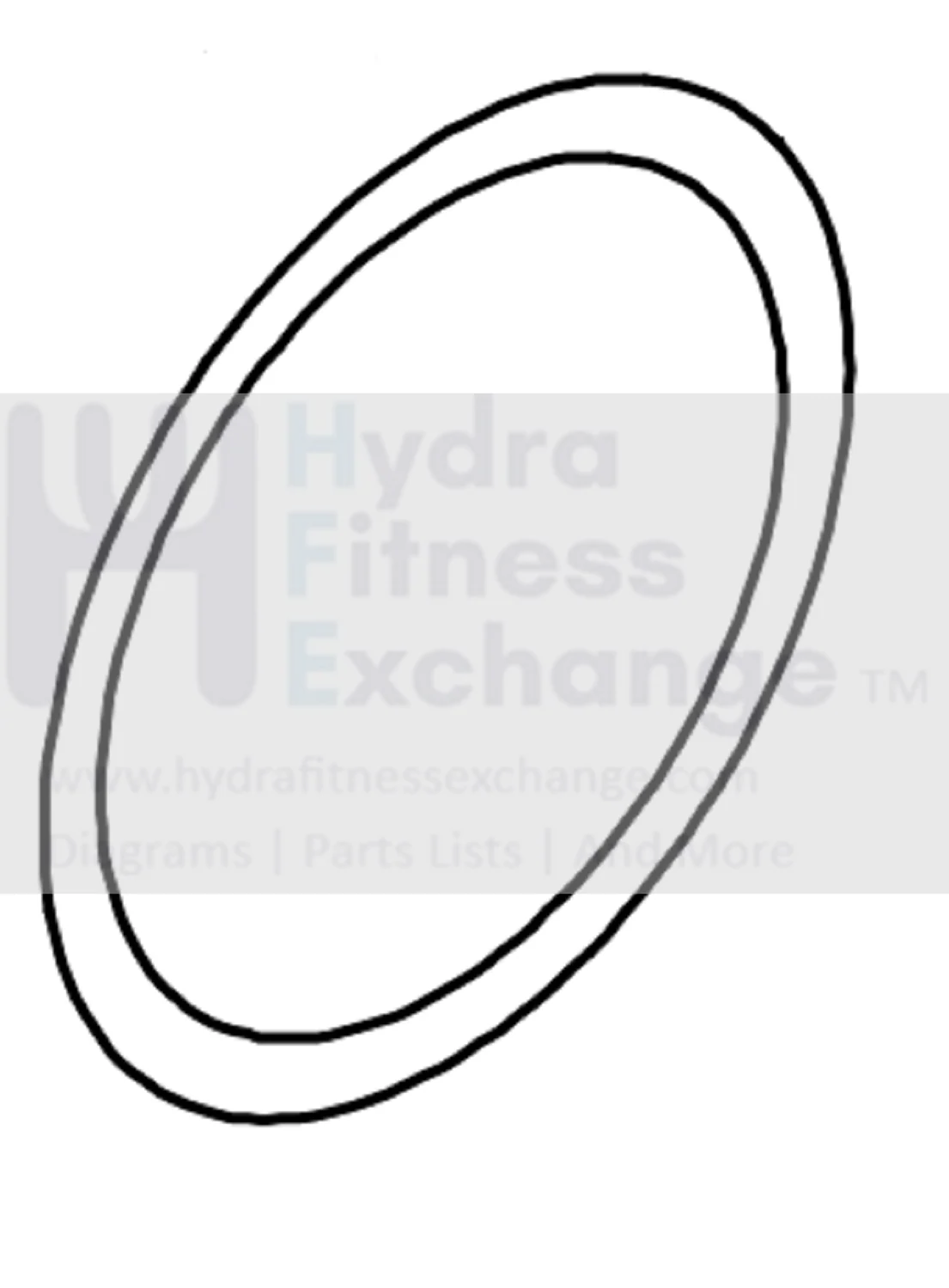 Horizon Fitness 7.0IC - FC50 - 2021 Stationary Bike Flywheel Blue Pop Sticker F326xF296 1000466922