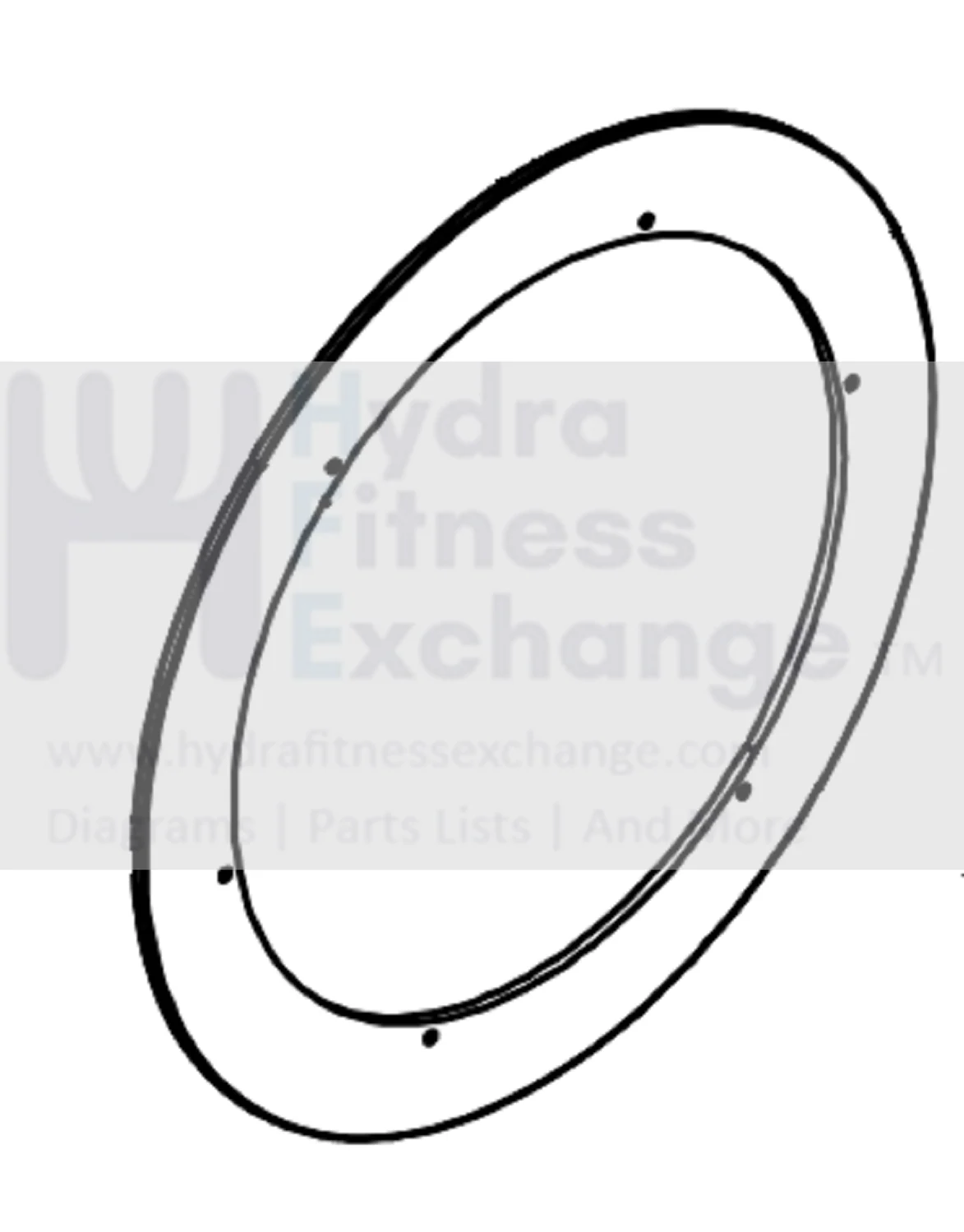 Horizon Fitness 7.0IC - FC50 - 2021 Stationary Bike Flywheel Disk 1000469498