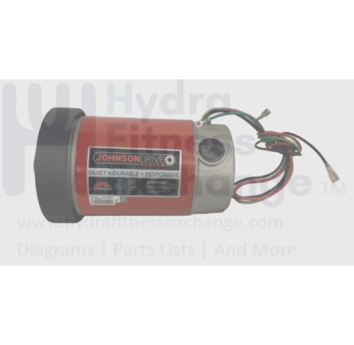 Horizon Fitness Treadmill Dc Drive Motor Set W/Flywheel 1000444919