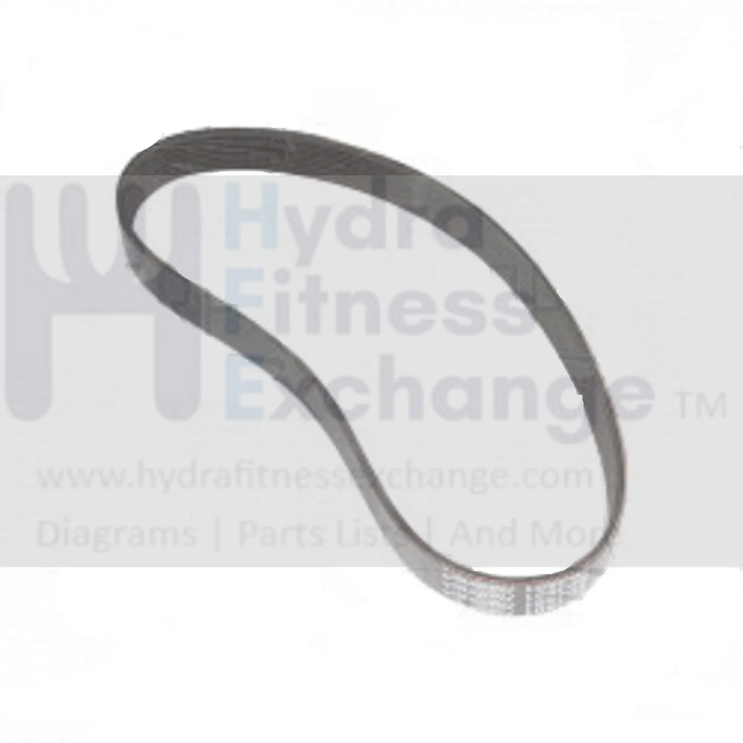 Horizon Fitness TM1000C TM499G PTM499G Treadmill Poly - Now 8PJ497 V Motor Drive Belt 1000494358 Formerly 1000377939 - Image 2