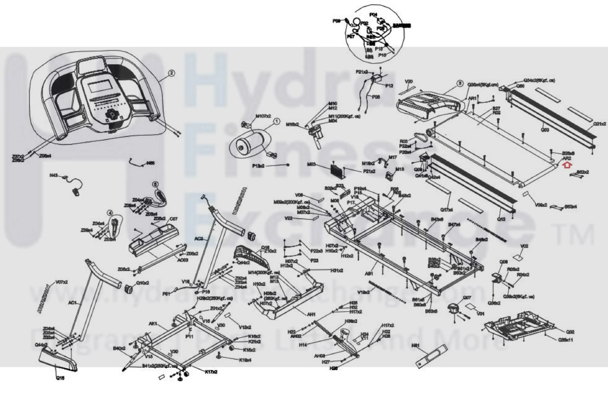Horizon Fitness 7.8AT-04 -TM1000C Treadmill Rear Idler Roller Set 1000462129 - Image 2