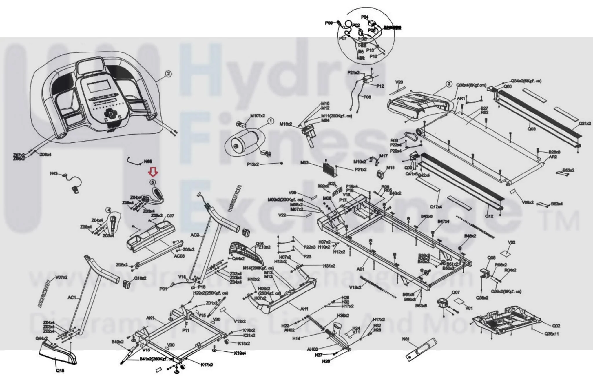Horizon Fitness TM499G TM1000C Treadmill Right Hand Pulse Grip 1000468121 - Image 3