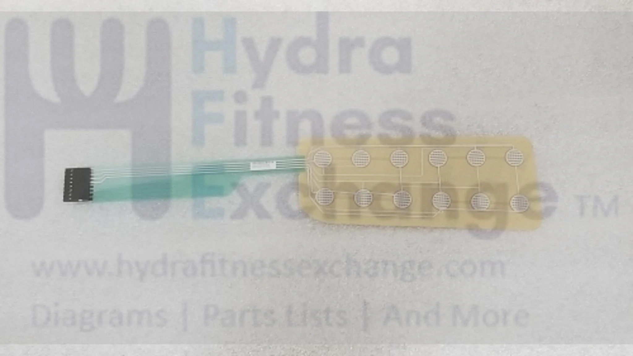 Horizon Fitness Treadmill Right Membrane Key Pad 1000430482 - Image 2