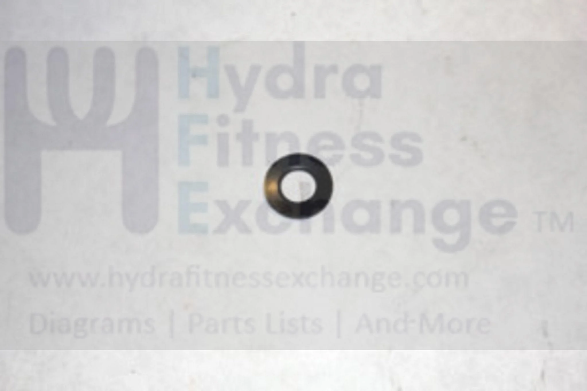Horizon Matrix Smooth Vision Fitness Treadmill Flat Washer 6.4X14.0X1.2T 0000089800