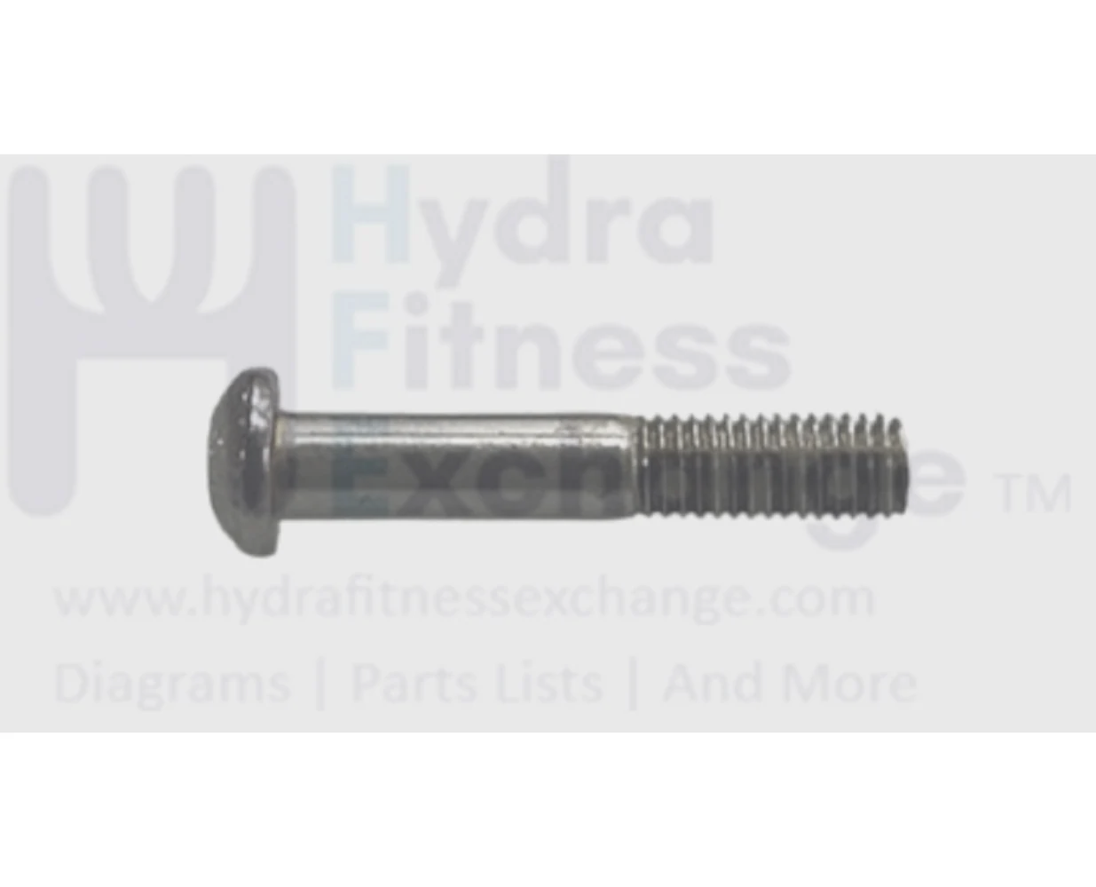 Horizon Fitness Treadmill Button Head Hex Socket Screw M10 - 1.5P x 55L/15L 049273-00