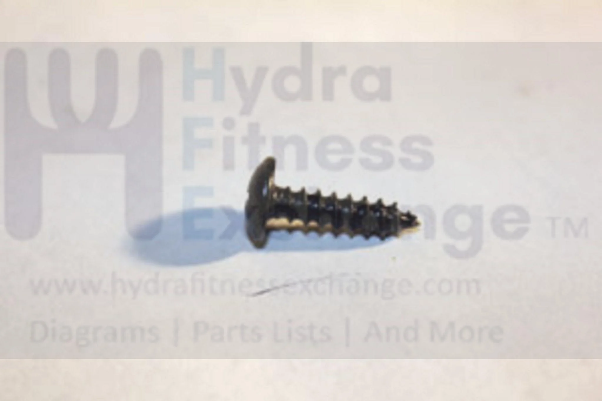 Horizon Fitness Treadmill Round Head Tapped Screw 4X12L 004653-AB