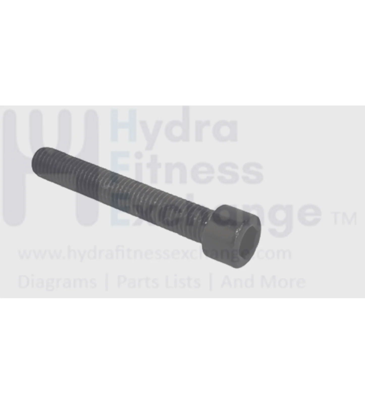 Horizon Fitness 7.4AT-04 - 7.8AT-04 Treadmill Socket Head Screw M10X1.5PX65L 1000412286