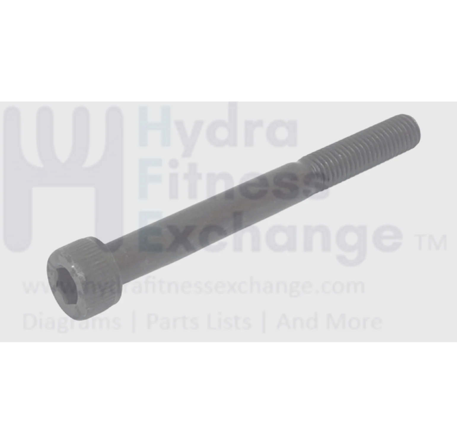 Horizon Fitness Treadmill Socket Head Screw M8 - 1.25P x 80L-20L 004551-A