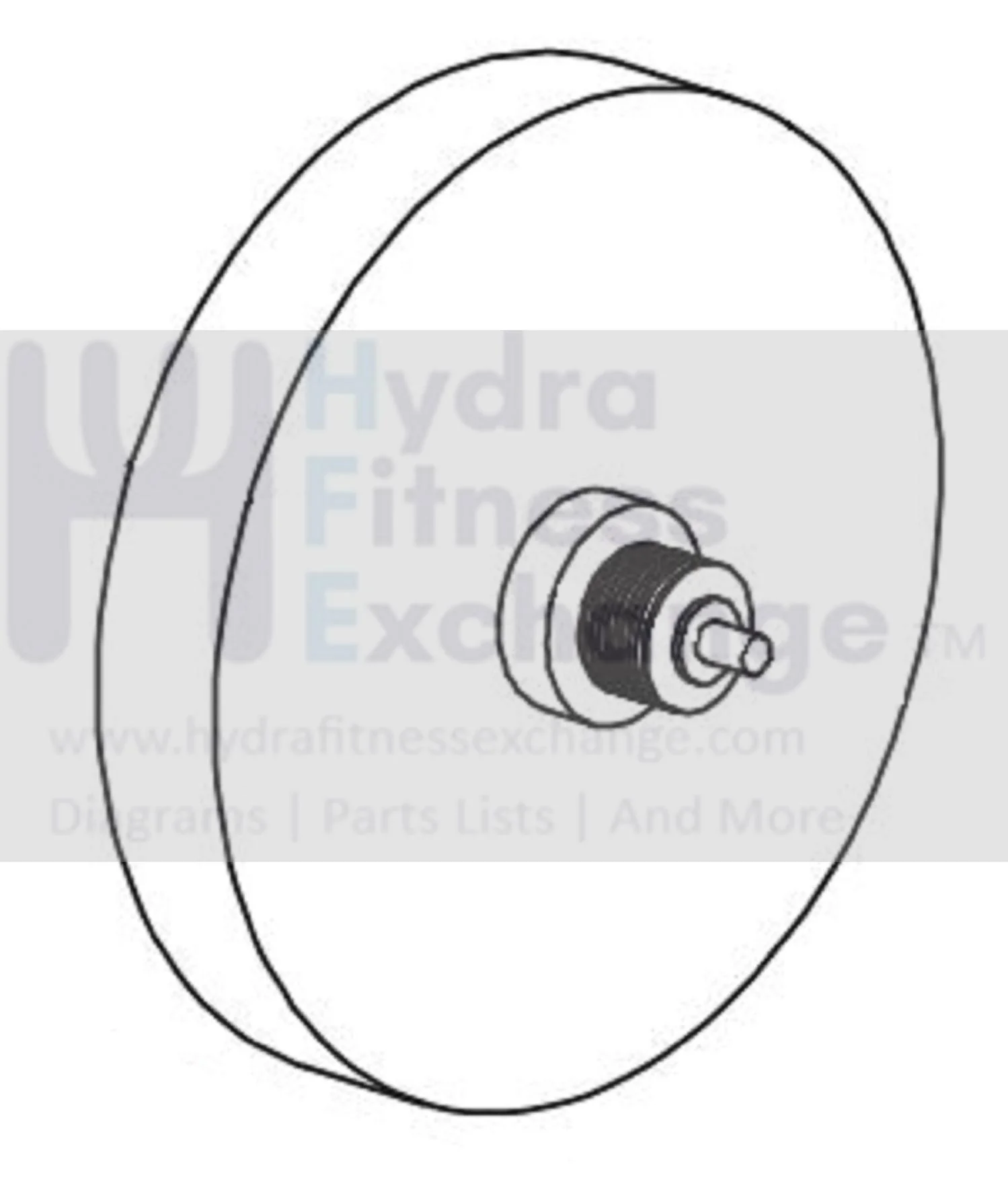 Horizon Fitness B701 - CB139 Stationary Bike Flywheel Pulley Assembly 095874
