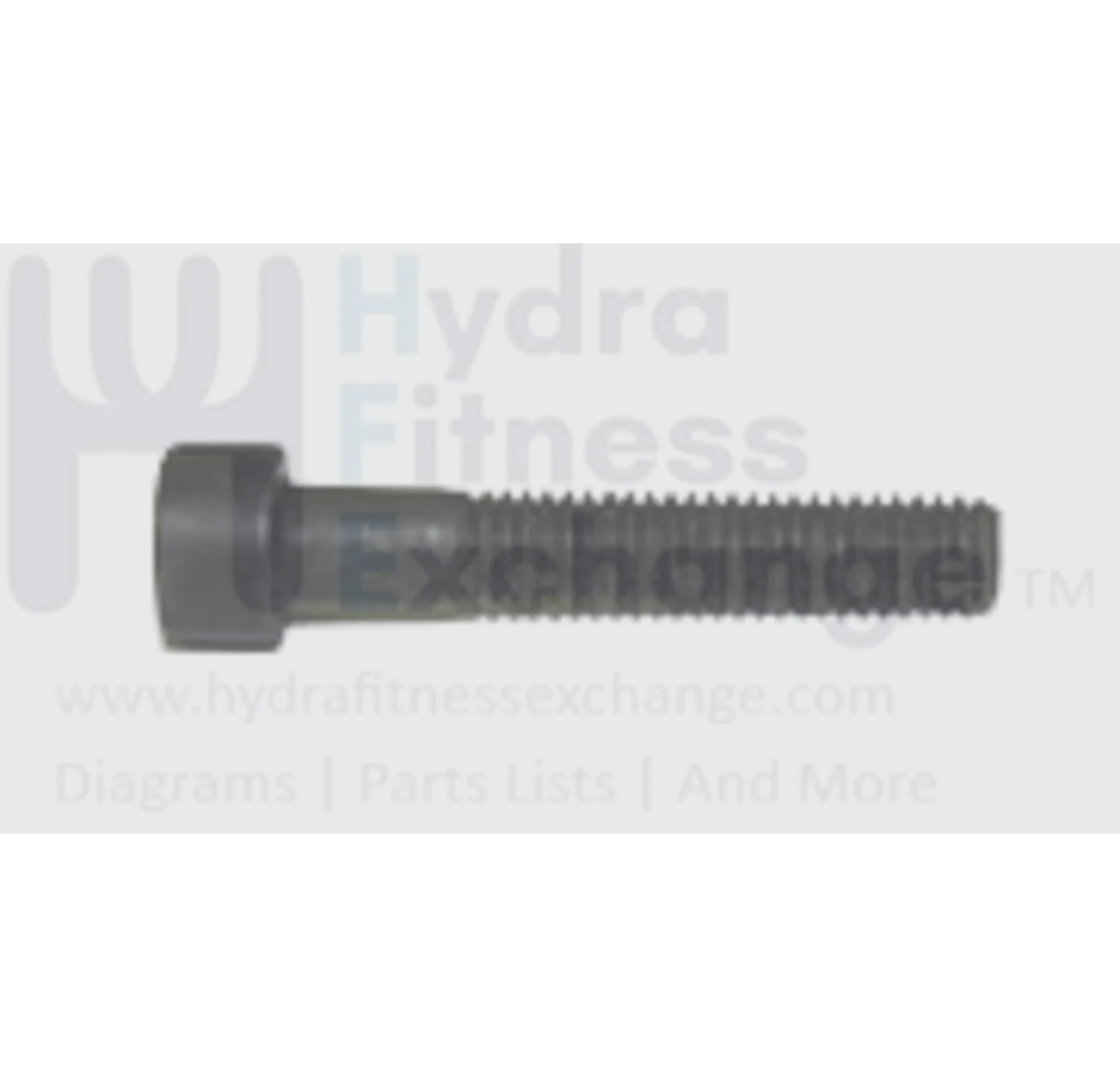 Horizon Fitness B701 T4 T5 T5x R40 R20 Stationary Bike Round Hex Socket Screw 004528-00