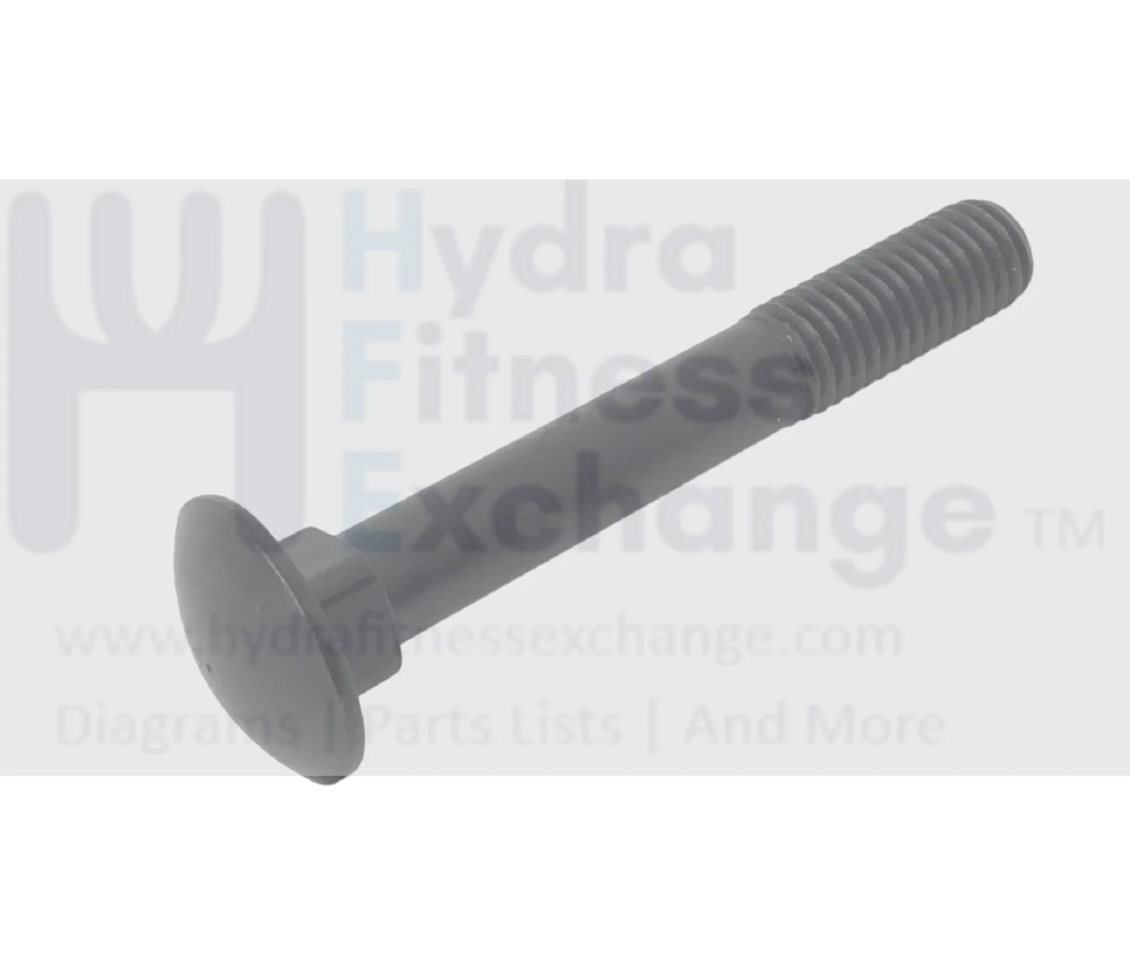 Horizon Fitness CB037 Stationary Bike Carriage Bolt 1000324652