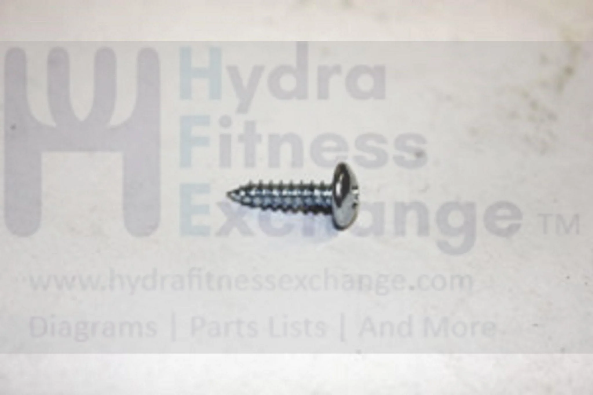 Horizon Fitness CE5.1 E1200 E900 EX59 Elliptical Screw 075252 - Image 2