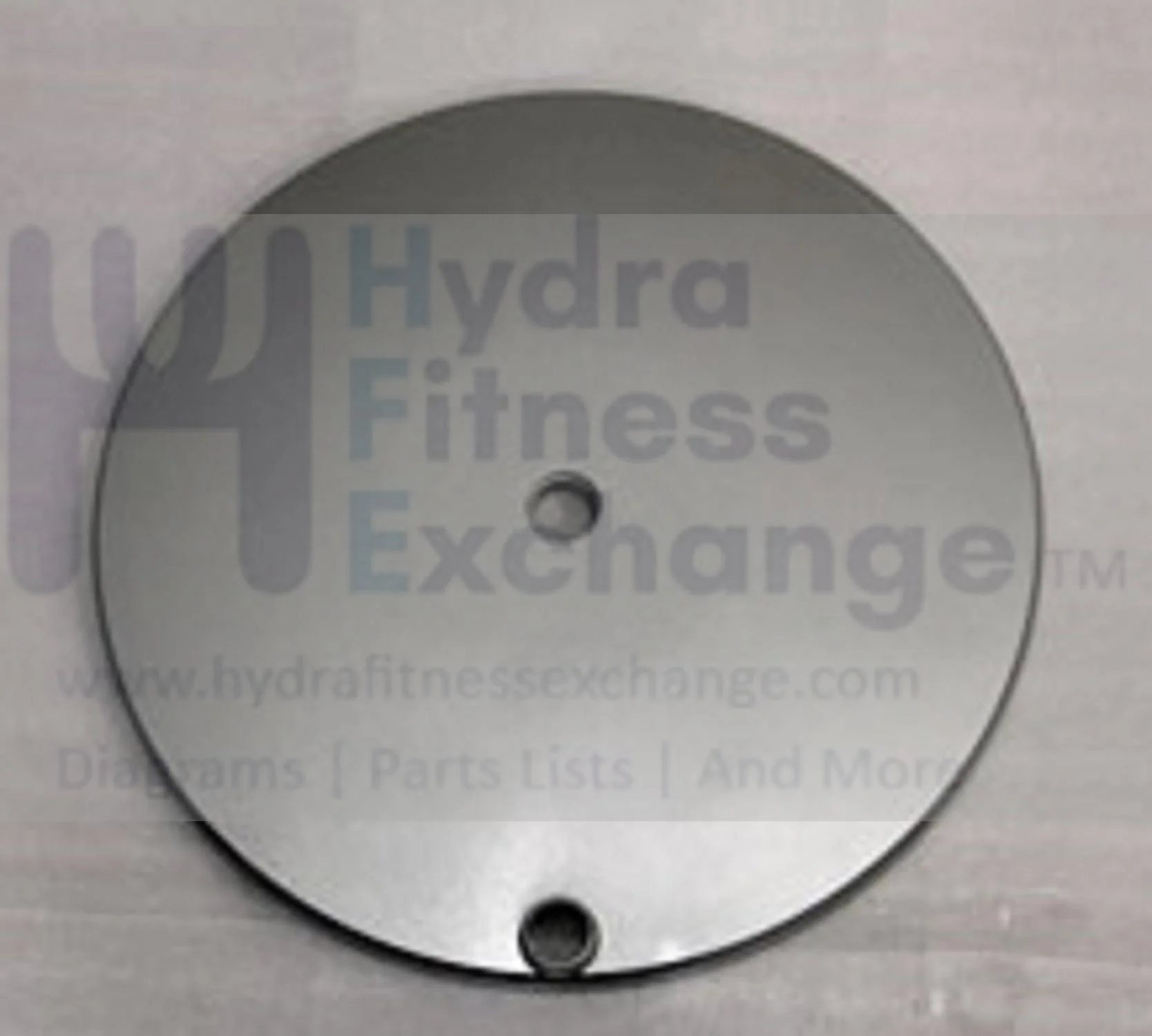Horizon Fitness CE6.0 CX66 E5 EX66 EX67 EX77 Elliptical Crank Arm Disk Cover 102654 - Image 2