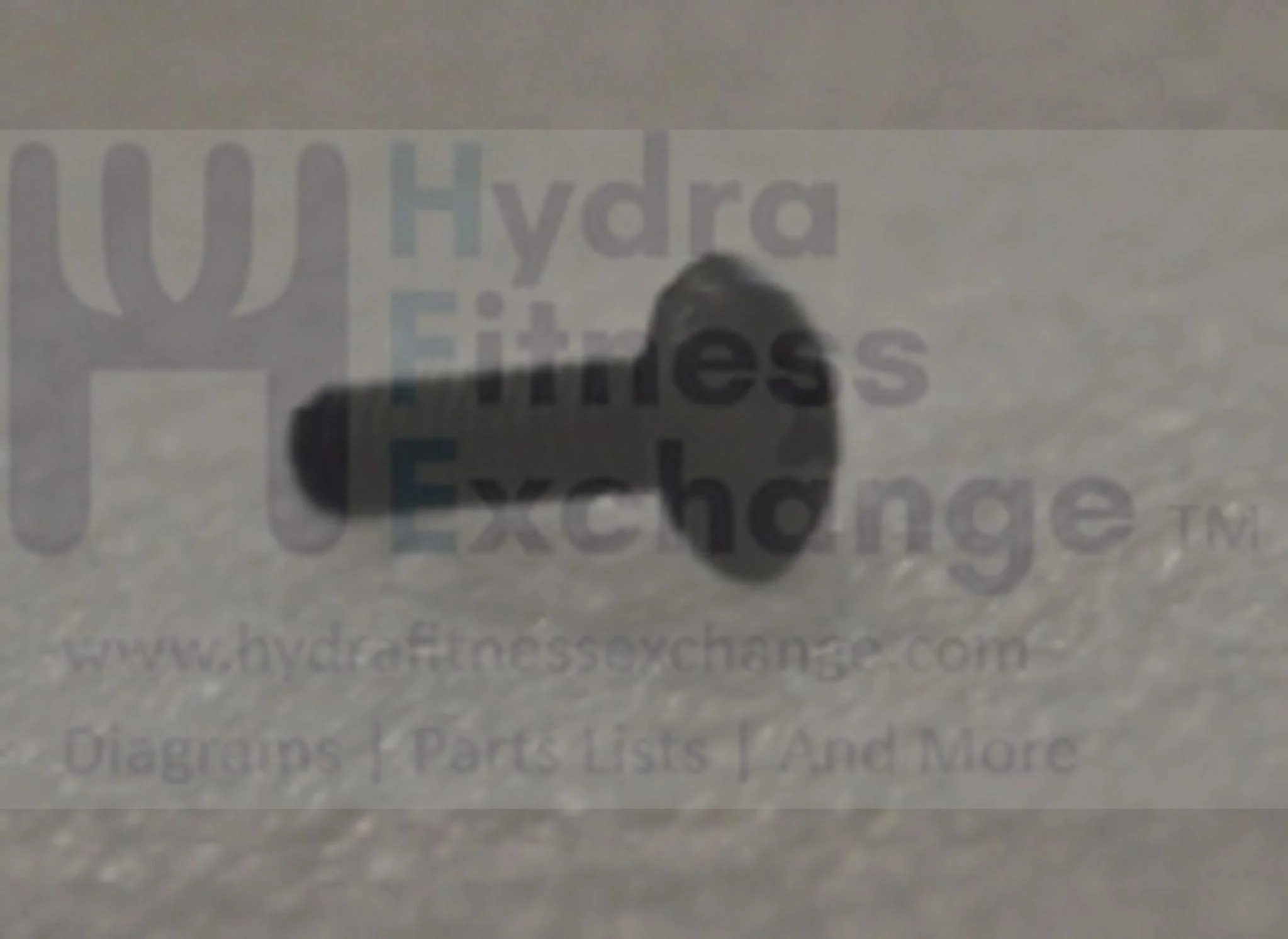 Horizon Fitness Comfort R U - RB013 CB037 Stationary Bike Button Head Screw 1000324685 - Image 2