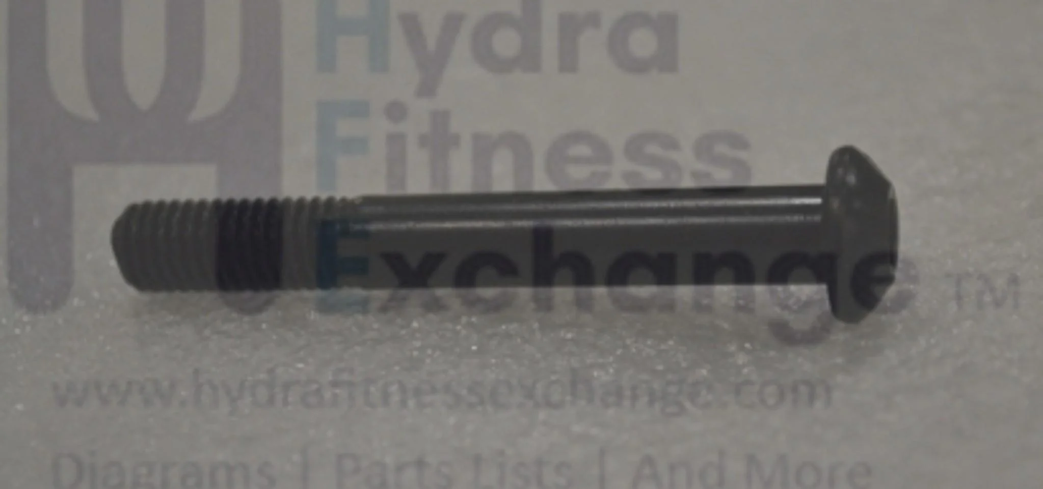 Horizon Fitness Comfort R U RB013 CB037 Stationary Bike Button Hex Screw 1000324667 - Image 2