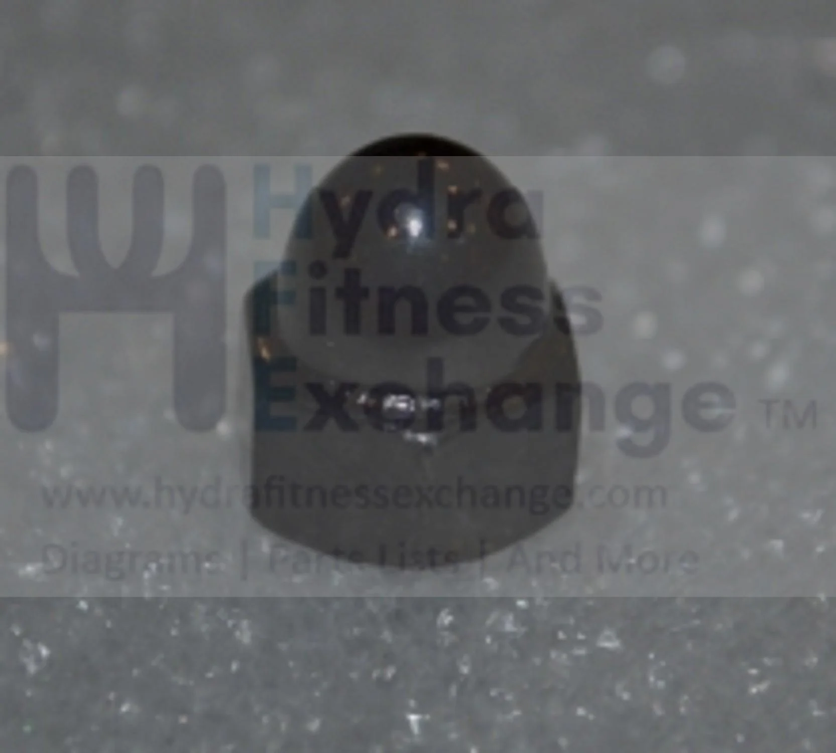 Horizon Fitness Comfort R - RB013 Stationary Bike Acorn Cap Nut 1000324814