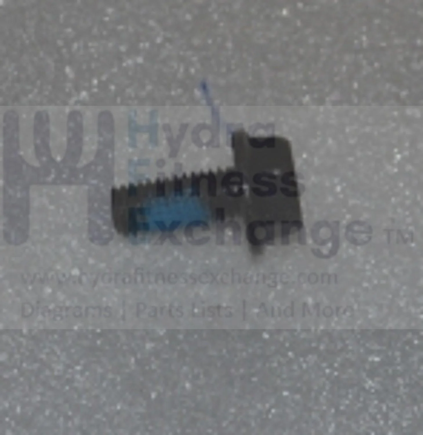 Horizon Fitness Comfort R - RB013 Stationary Bike Allen Hex Flange Slip Screw 1000324725