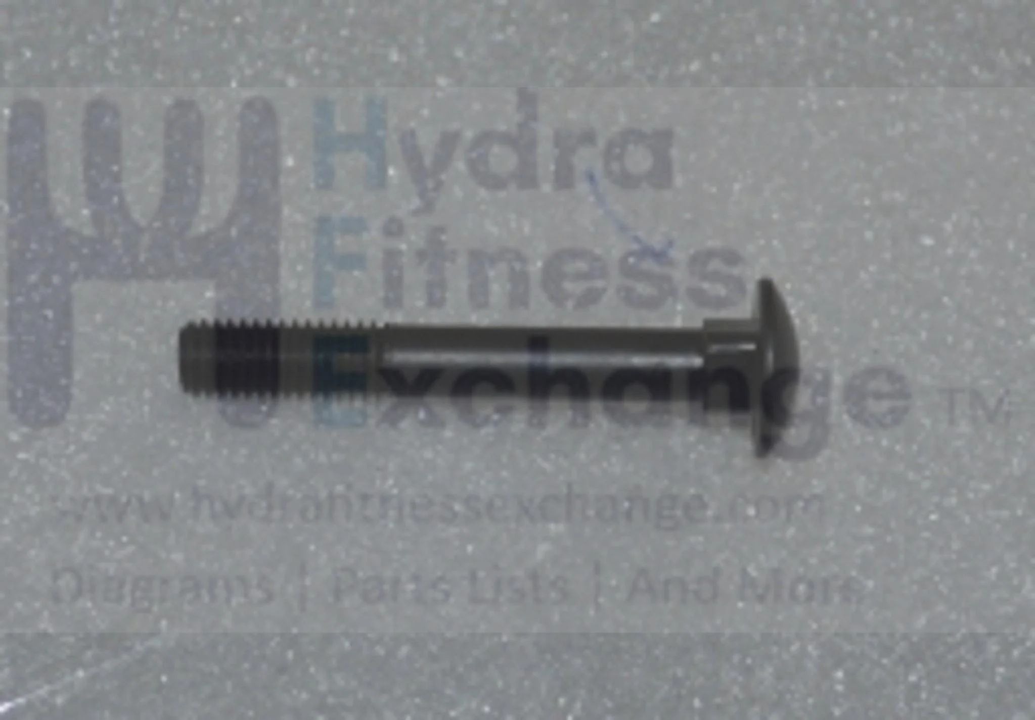 Horizon Fitness Comfort R - RB013 Stationary Bike Carriage Screw 1000324811