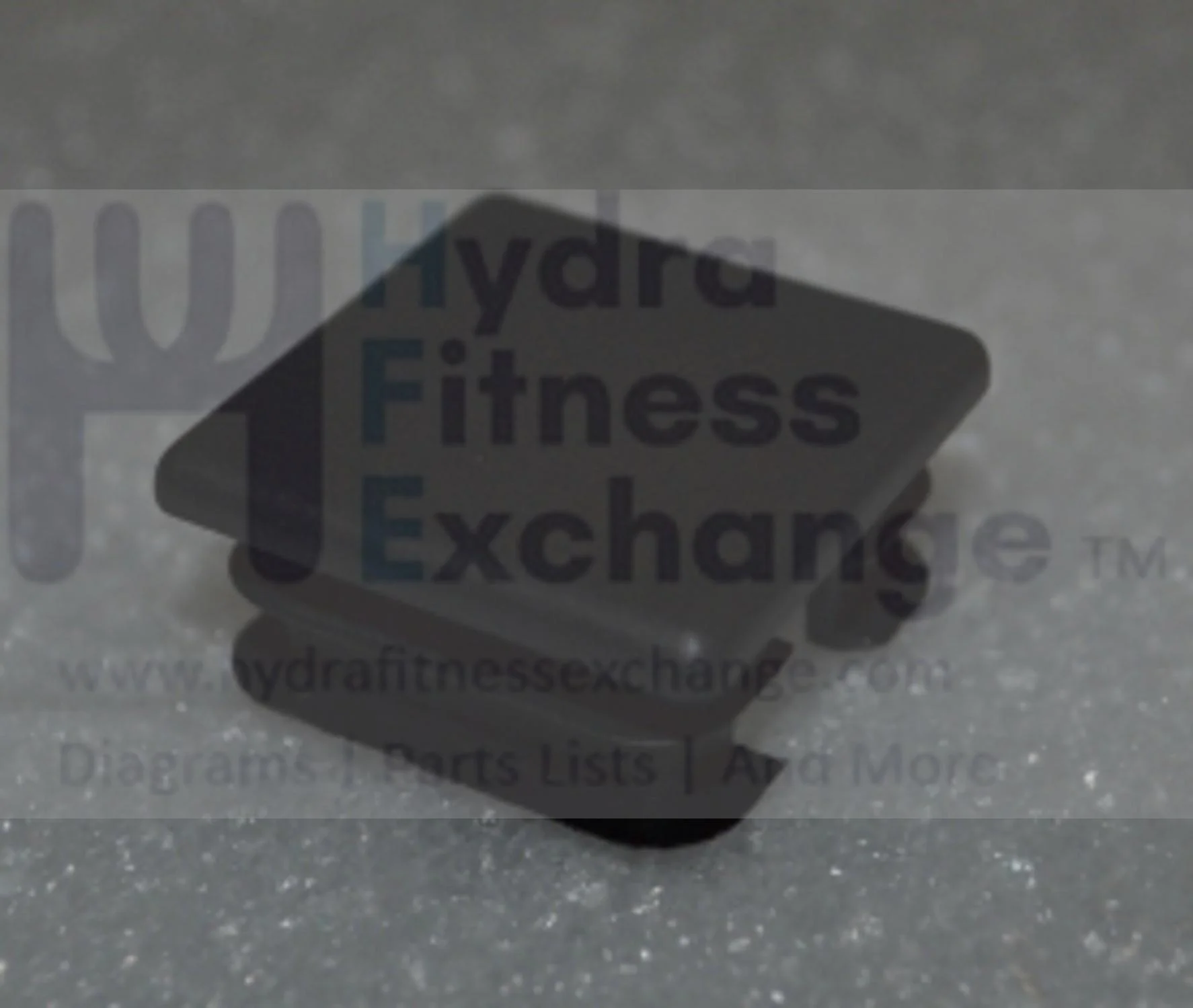 Horizon Fitness Comfort R - RB013 Stationary Bike End Cap 1000324748