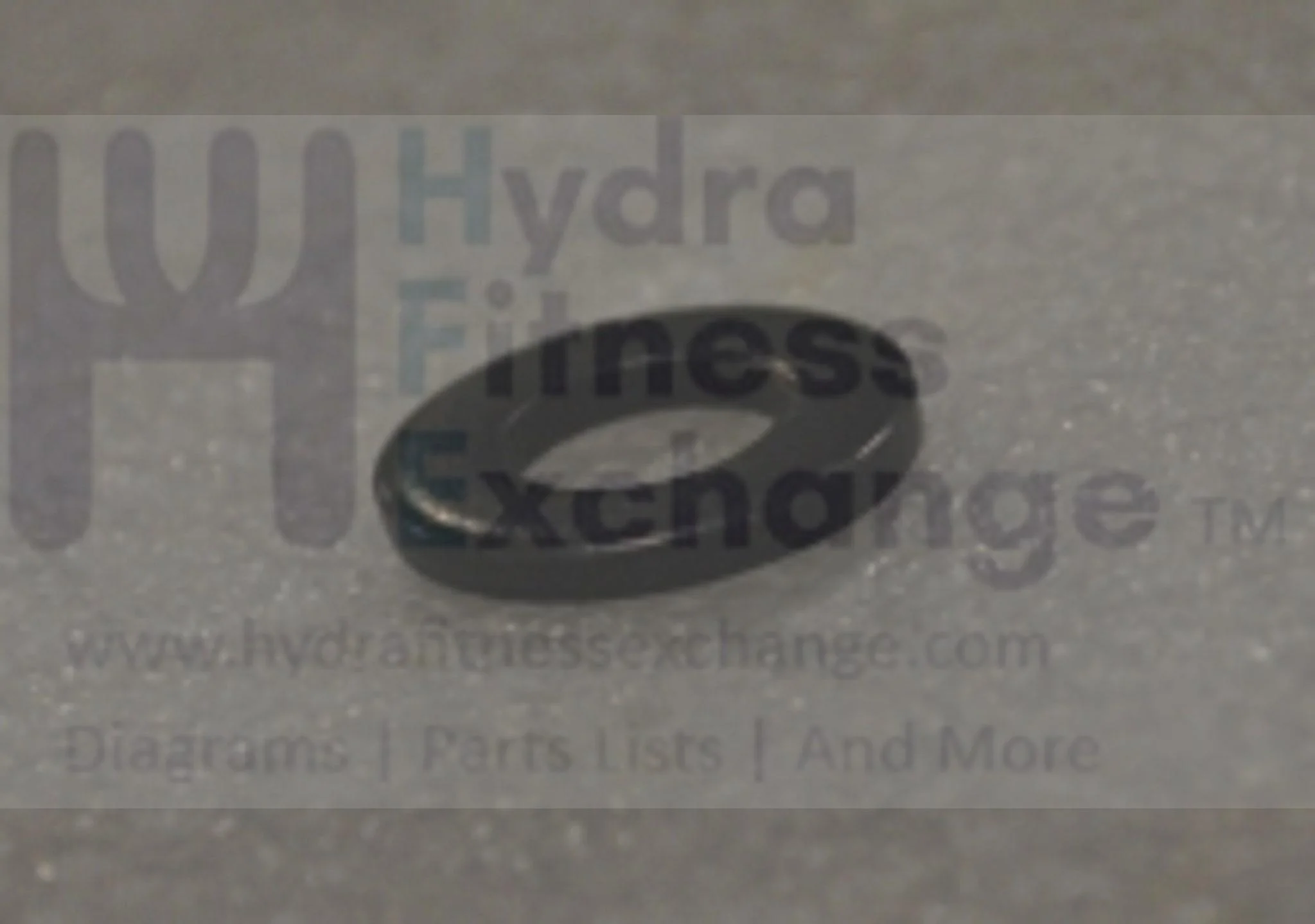 Horizon Fitness Comfort R - RB013 Stationary Bike Flat Washer 1000324813