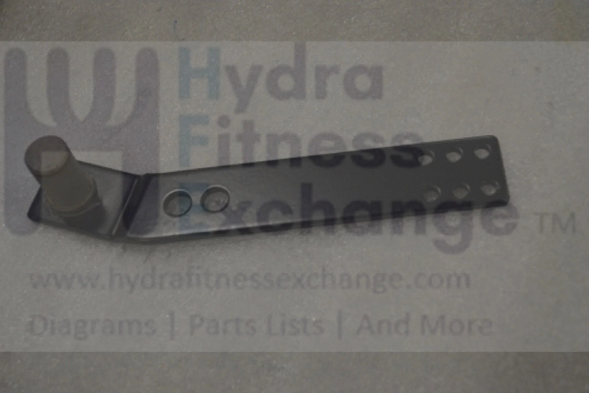 Horizon Fitness Comfort R - RB013 Stationary Bike Idler Wheel Flexing Plate 1000324719