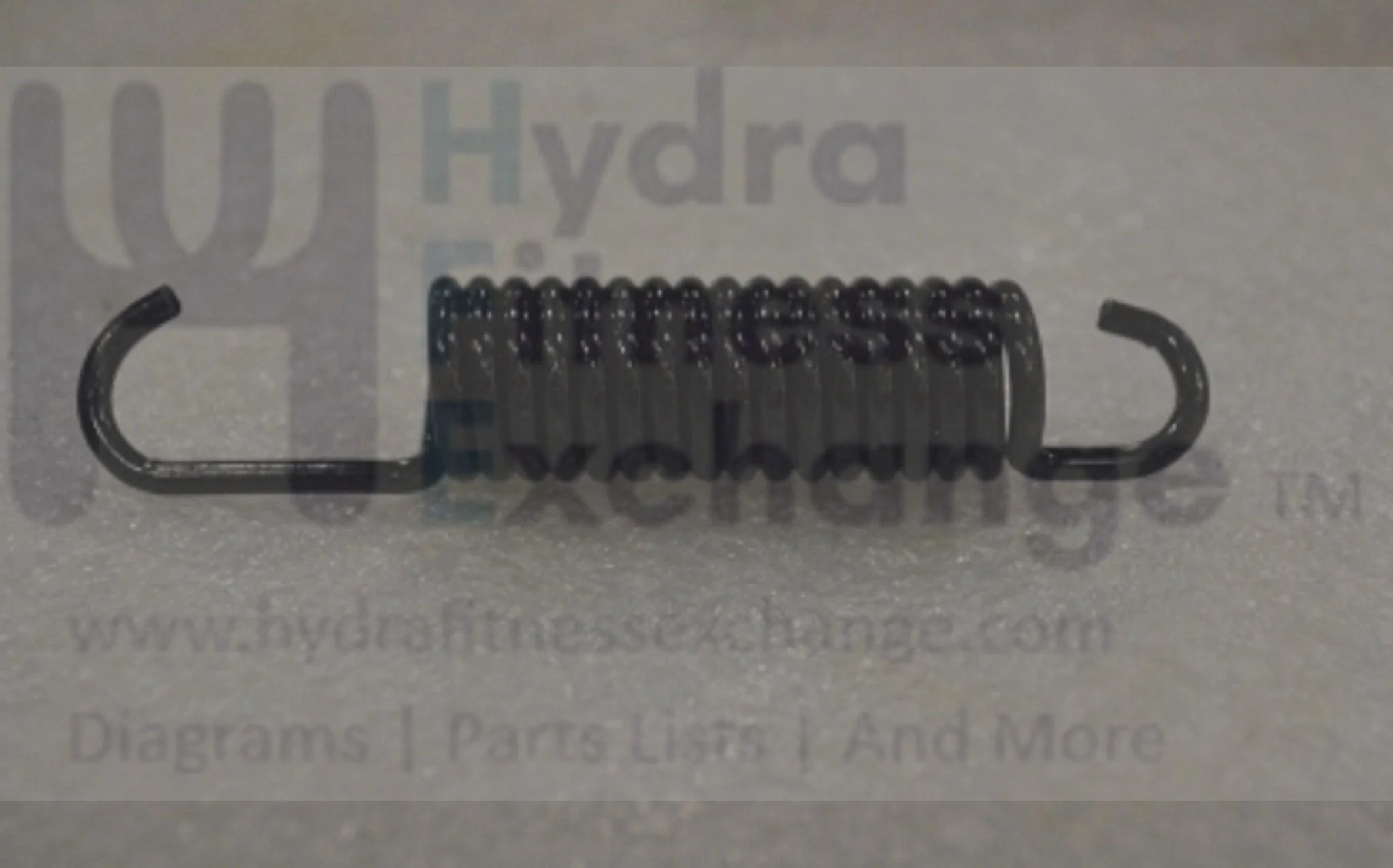 Horizon Fitness Comfort R - RB013 Stationary Bike Idler Wheel Flexing Spring 1000324726