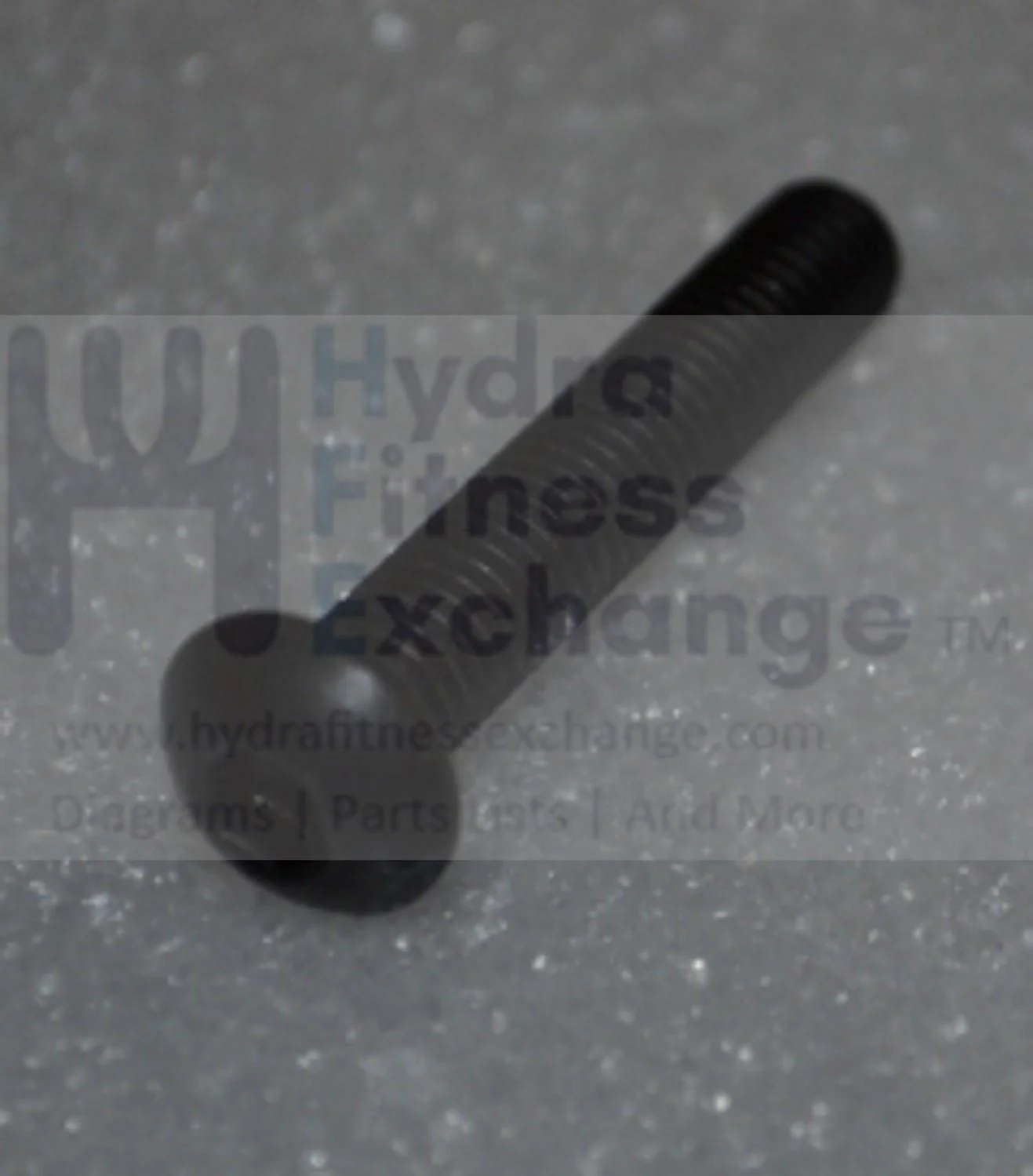 Horizon Fitness Comfort R - RB013 Stationary Bike Socket Head Screw 1000324815