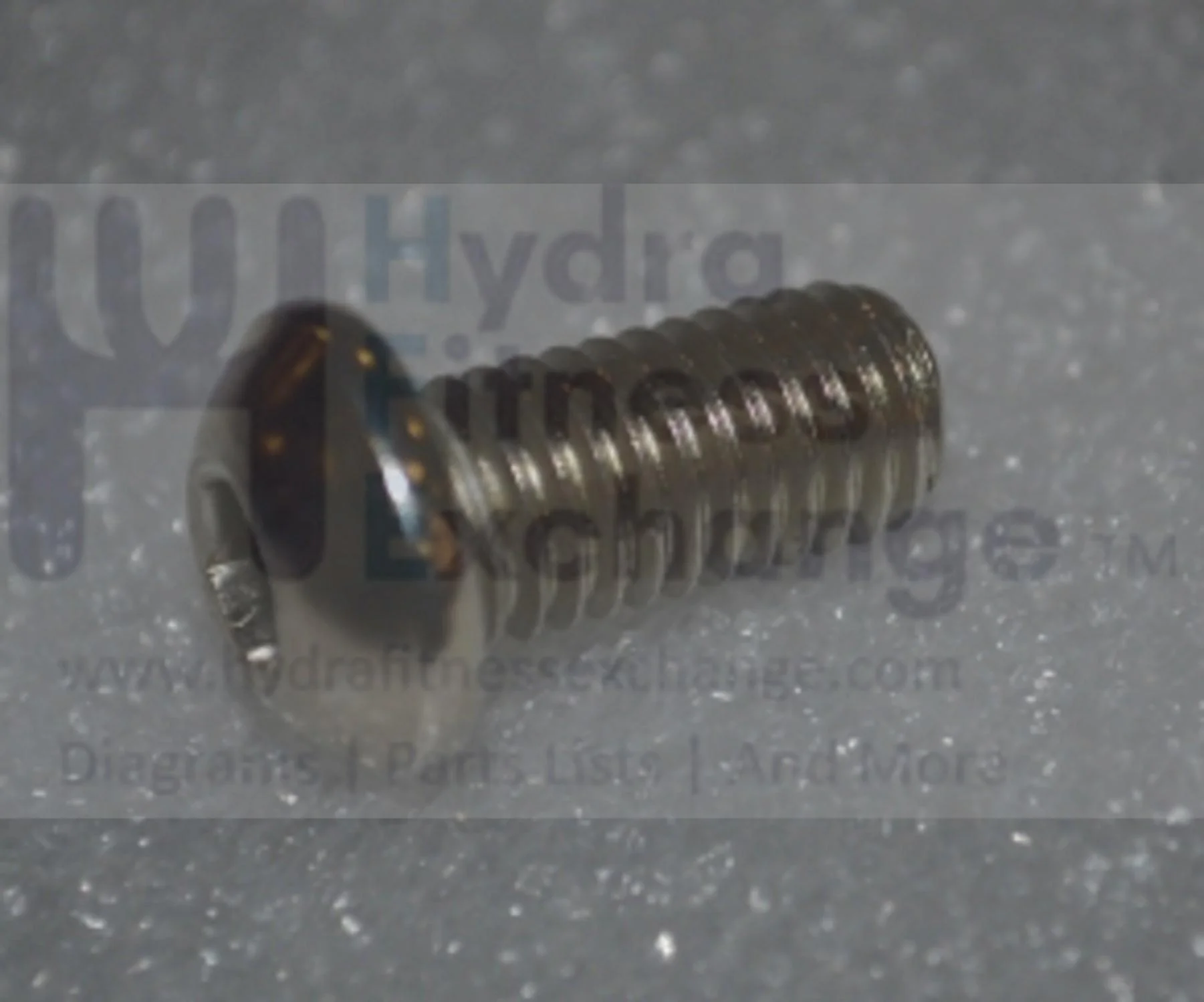 Horizon Fitness Comfort R - RB013 Stationary Bike Truss Hex Screw 1000324721