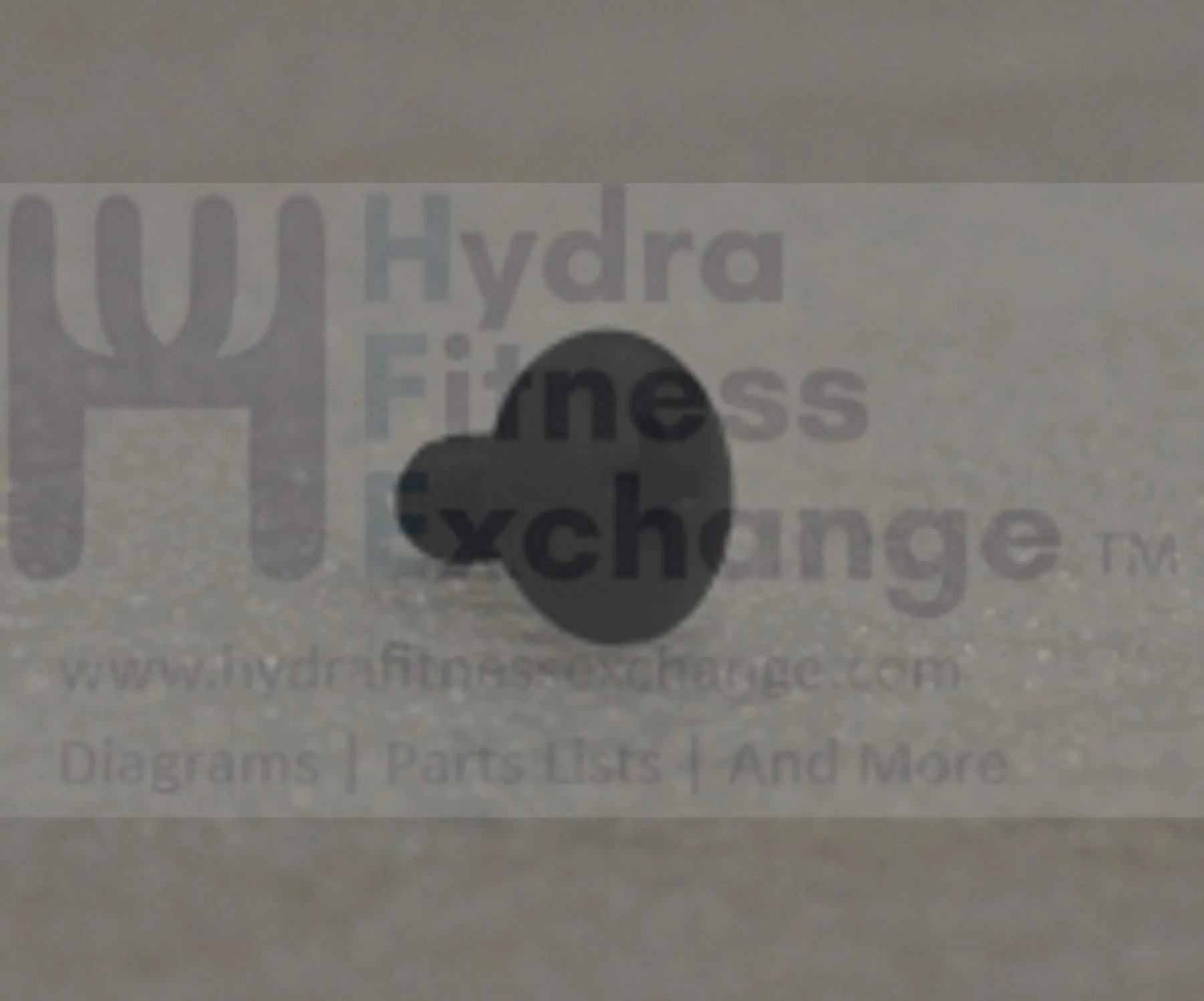 Horizon Fitness Comfort R - RB013 Stationary Bike Truss Phillips Screw 1000324731