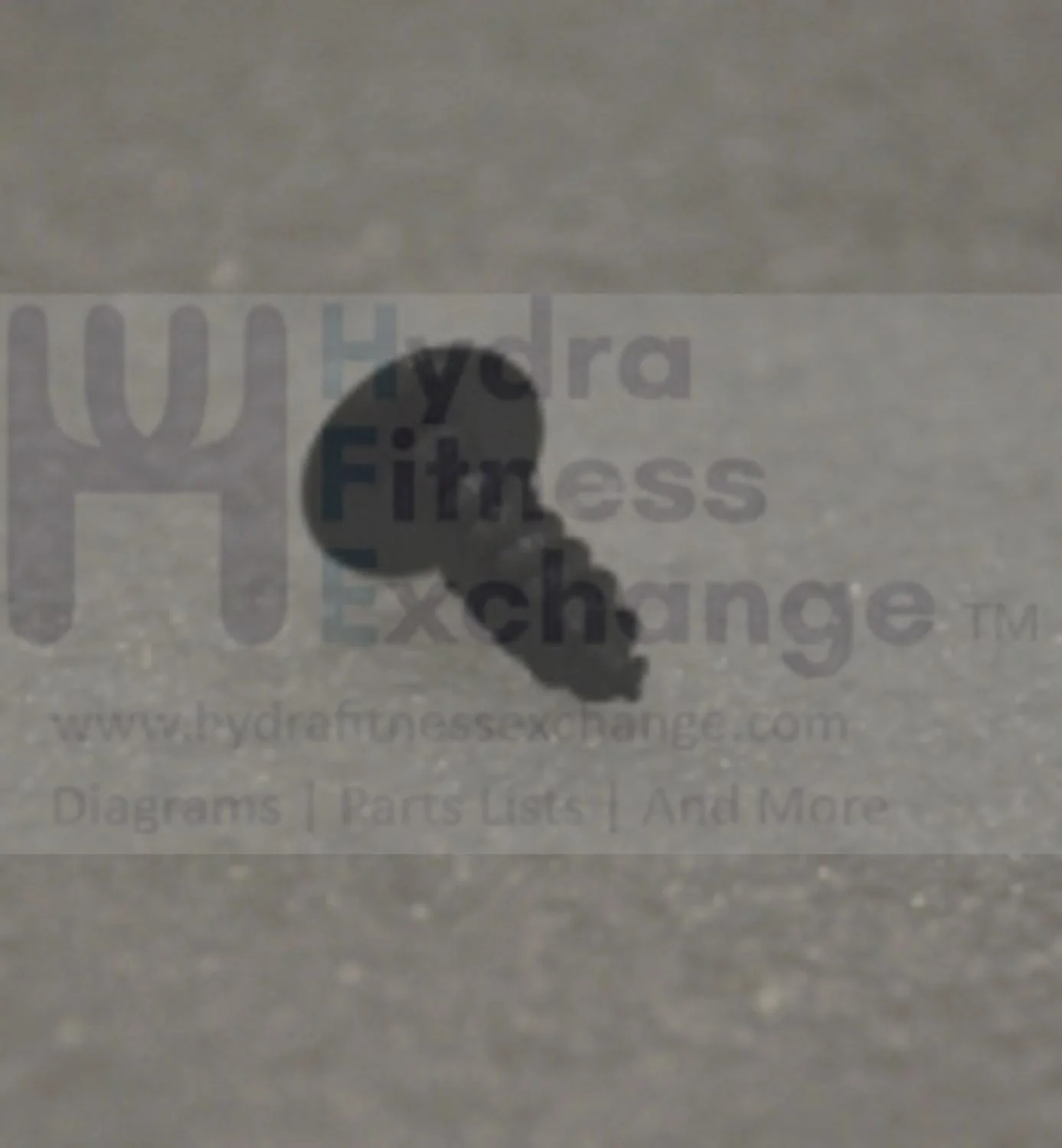 Horizon Fitness Comfort R - RB013 Stationary Bike Truss Self Tapping Screw 1000324824