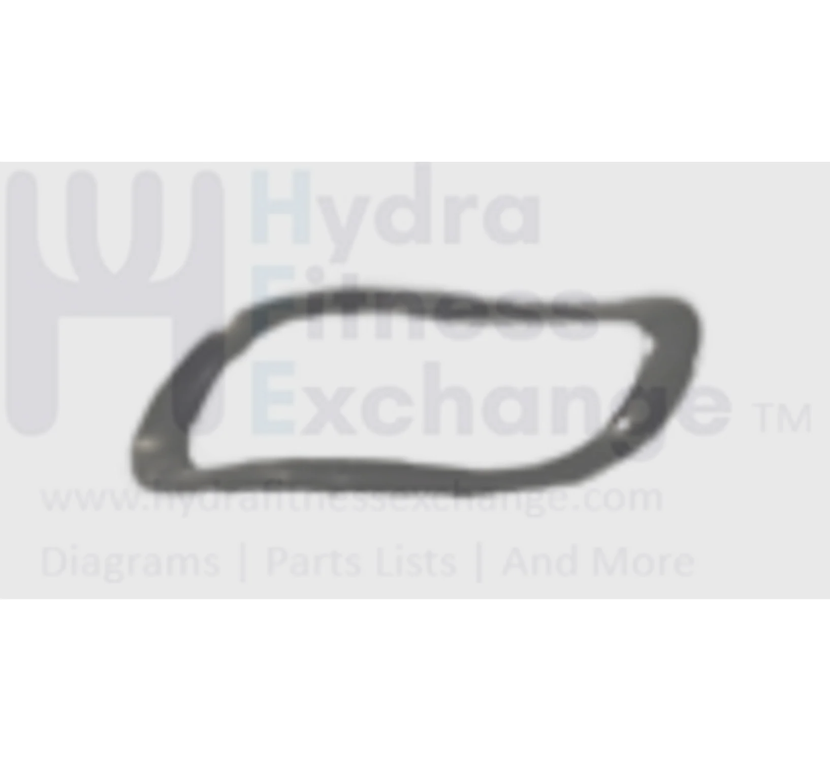 Horizon Fitness Comfort R U CB037 RB013 Stationary Bike Wave Washer 1000324611