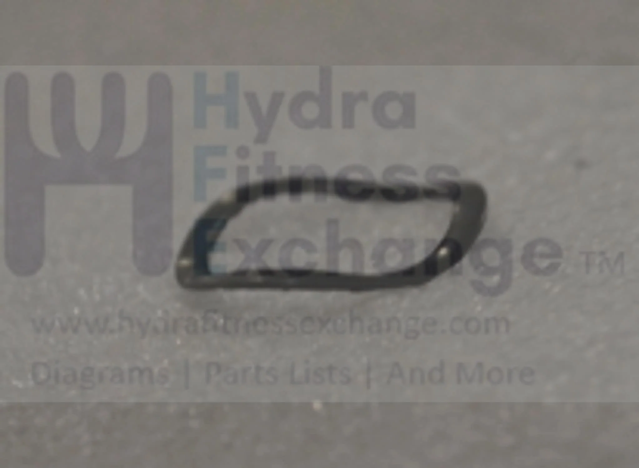 Horizon Fitness Comfort R U CB037 RB013 Stationary Bike Wave Washer 1000324611 - Image 2