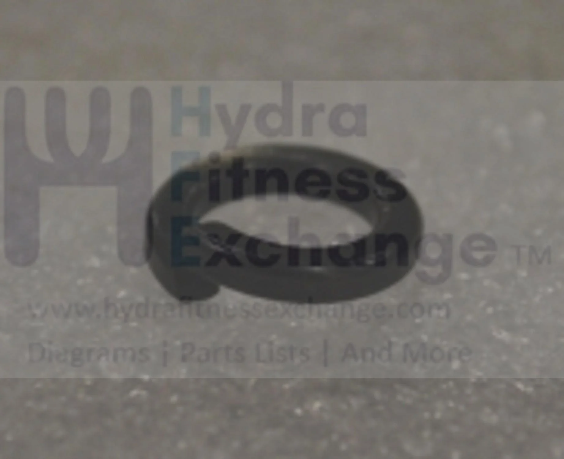 Horizon Fitness Comfort R U- RB013 CB037 Stationary Bike Spring Washer 1000324665 - Image 2