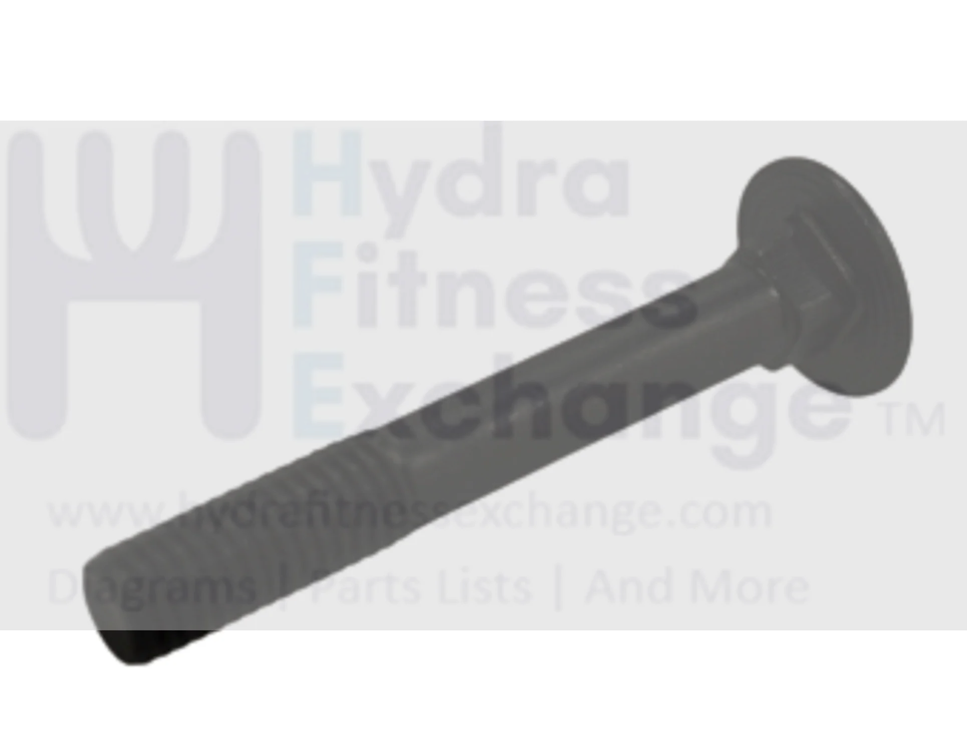 Horizon Fitness Comfort U - CB037 Stationary Bike Carriage Bolt 1000324652