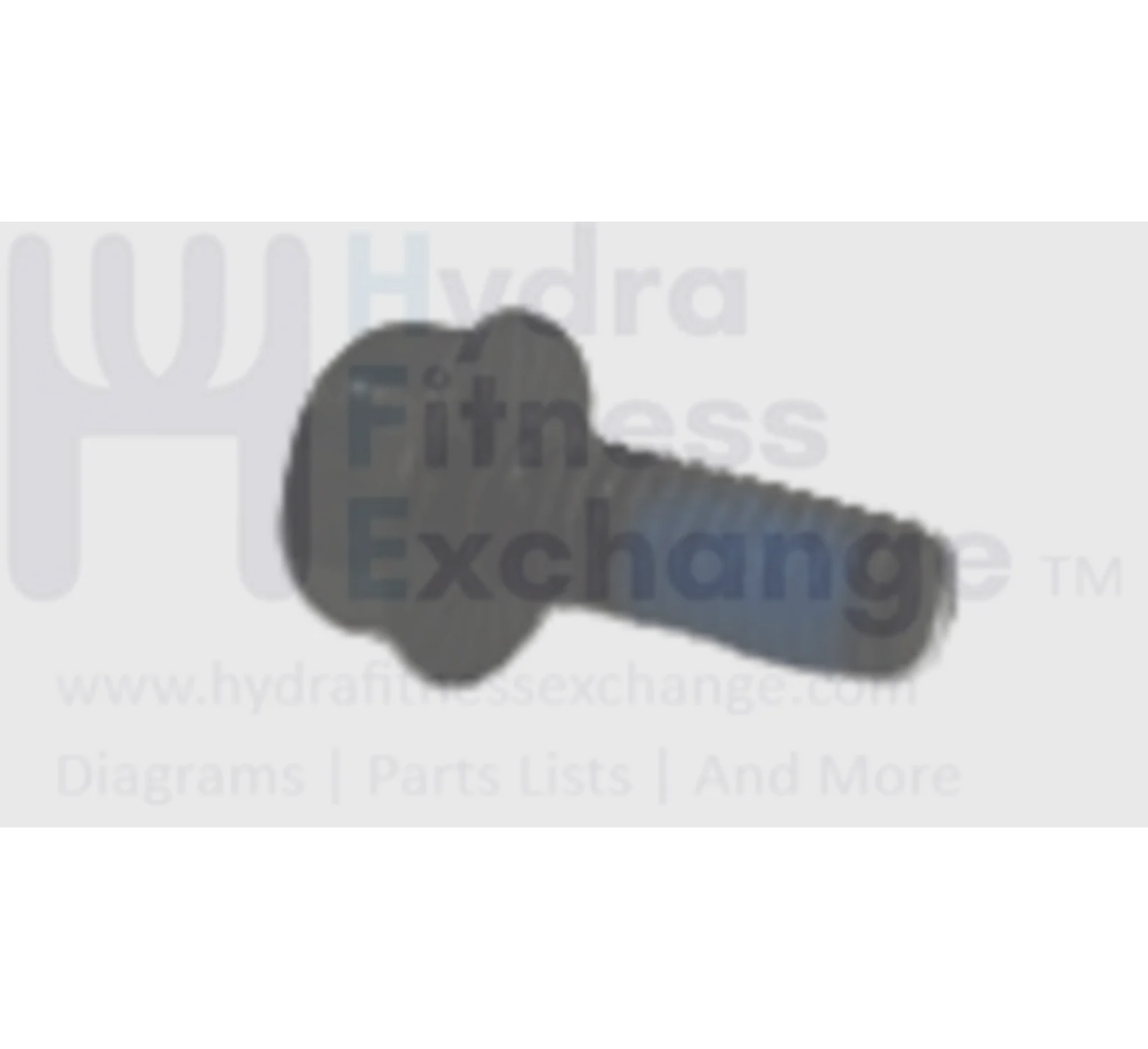 Horizon Fitness Comfort U - CB037 Stationary Bike Flange Hex Screw 1000324622