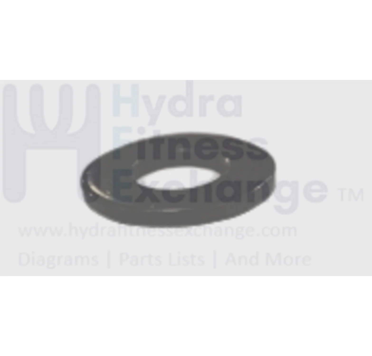 Horizon Fitness Comfort U - CB037 Stationary Bike Flat Washer 1000324664