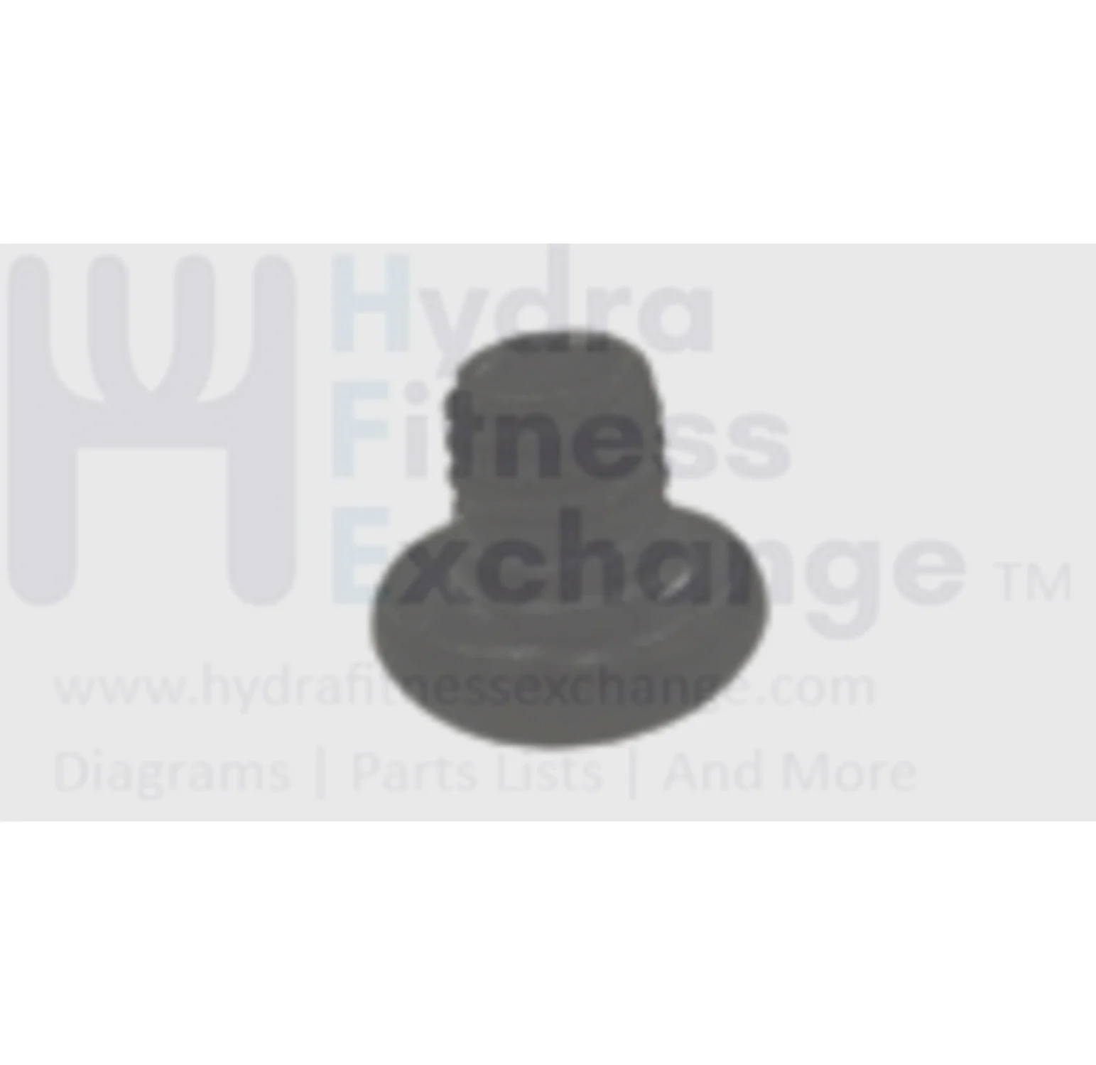 Horizon Fitness Comfort U - CB037 Stationary Bike Round Head Philips Screw 1000324648