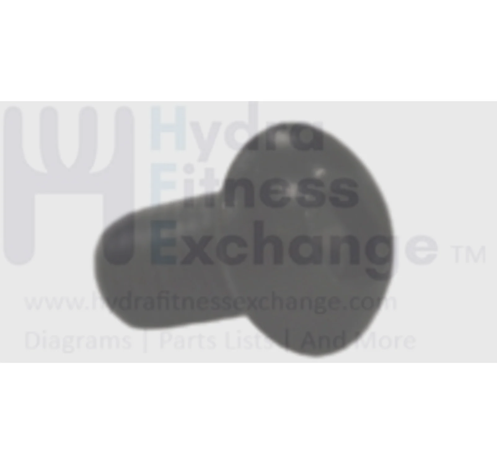 Horizon Fitness Comfort U - CB037 Stationary Bike Truss Hex Screw 1000324668