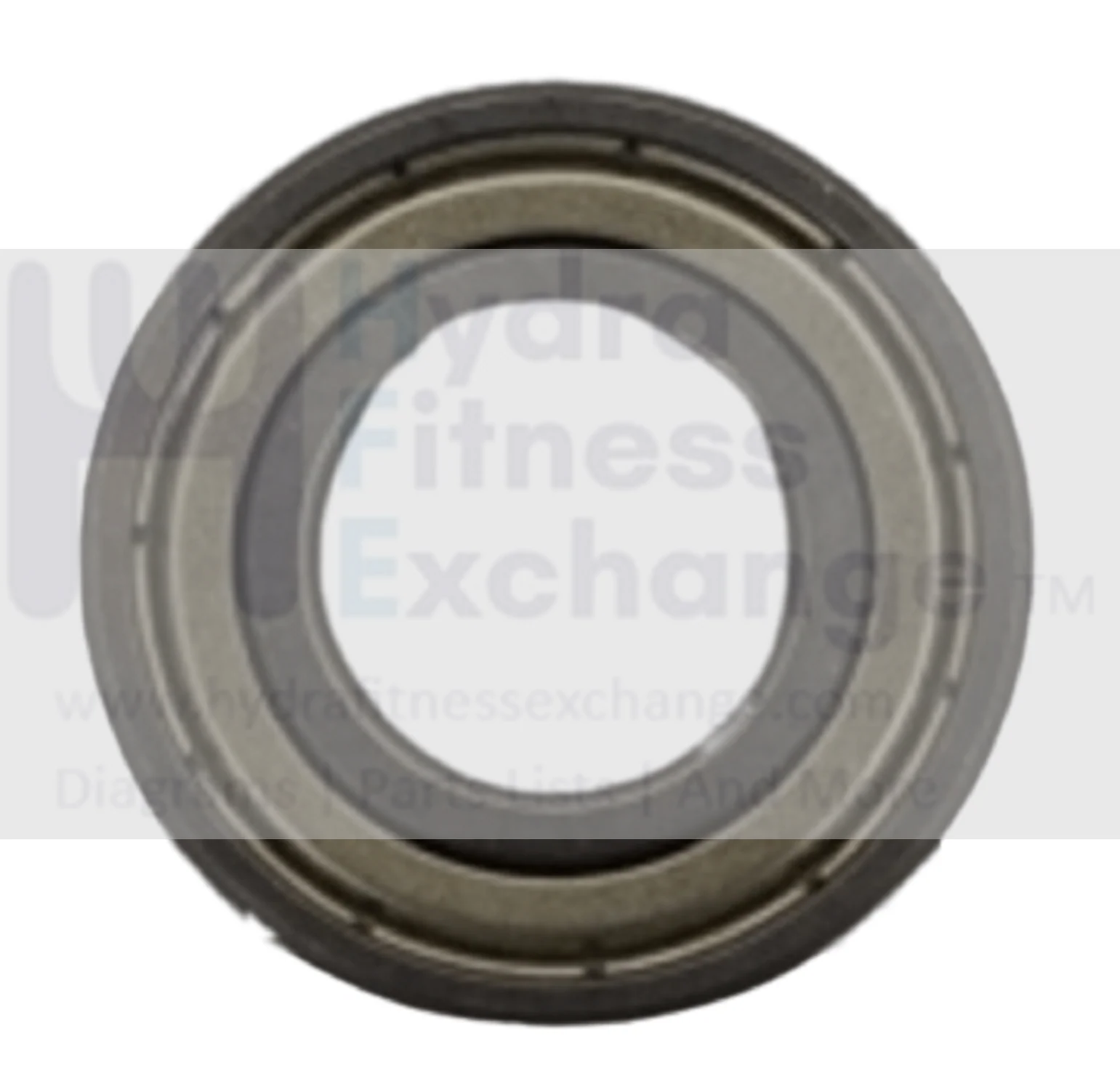 Horizon Fitness Comfort U R - RB013 CB037 Stationary Bike Ball Bearing 1000324601