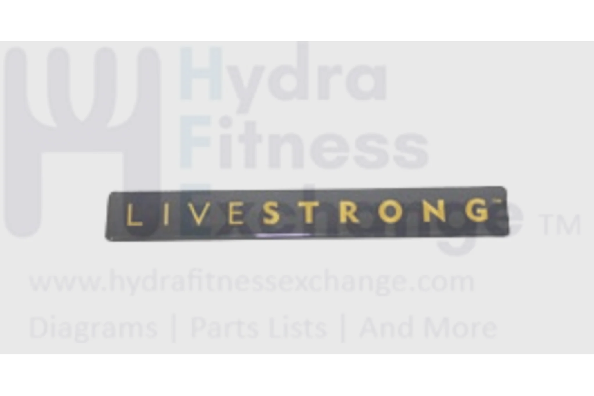 Horizon Fitness Ct12.1 LS9.9T Treadmill Sticker Logo 1000109363
