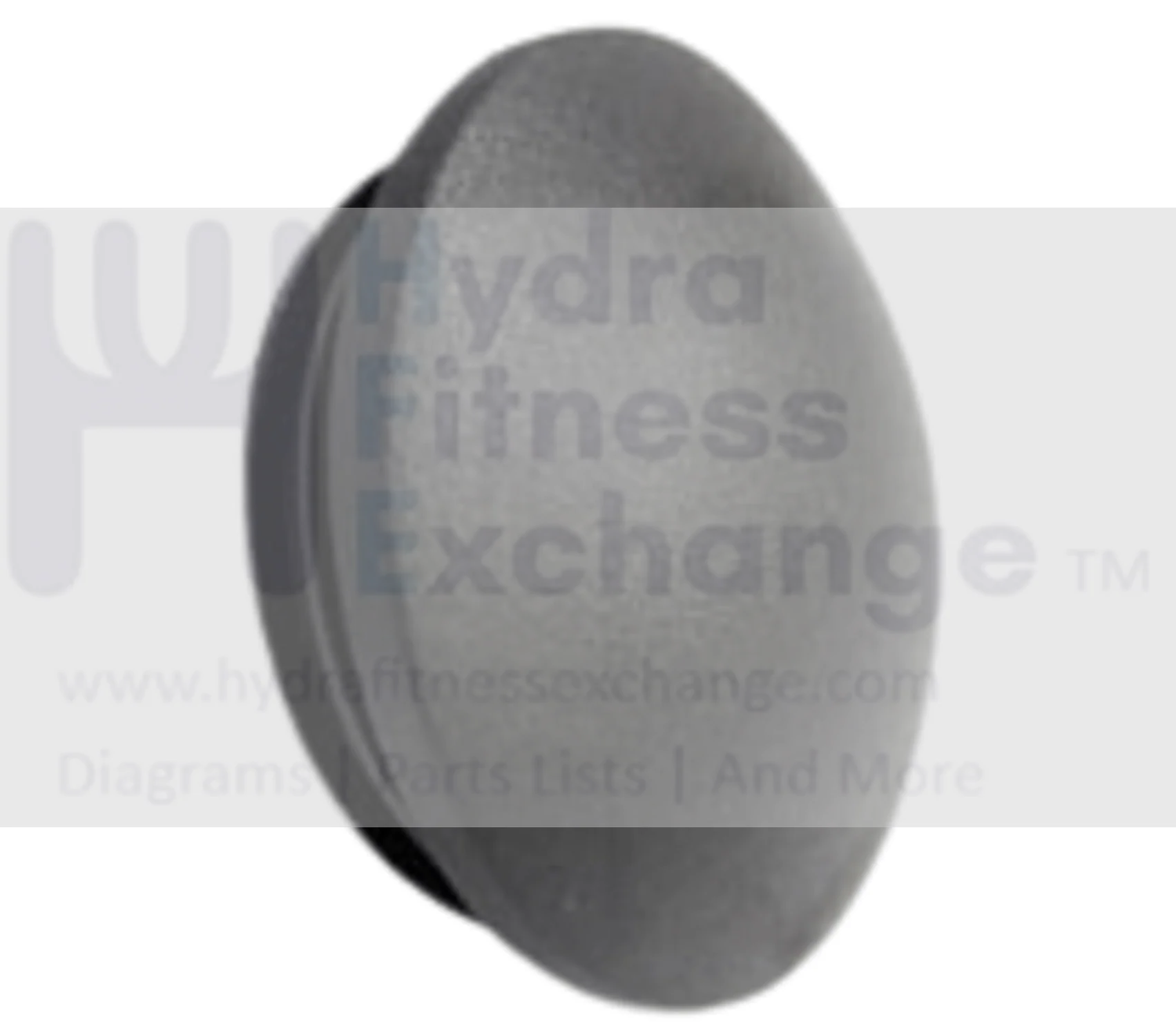 Horizon Fitness CT5.2 GS950TSM T101 Treadmill Handlebar Black Endcap 1000104155