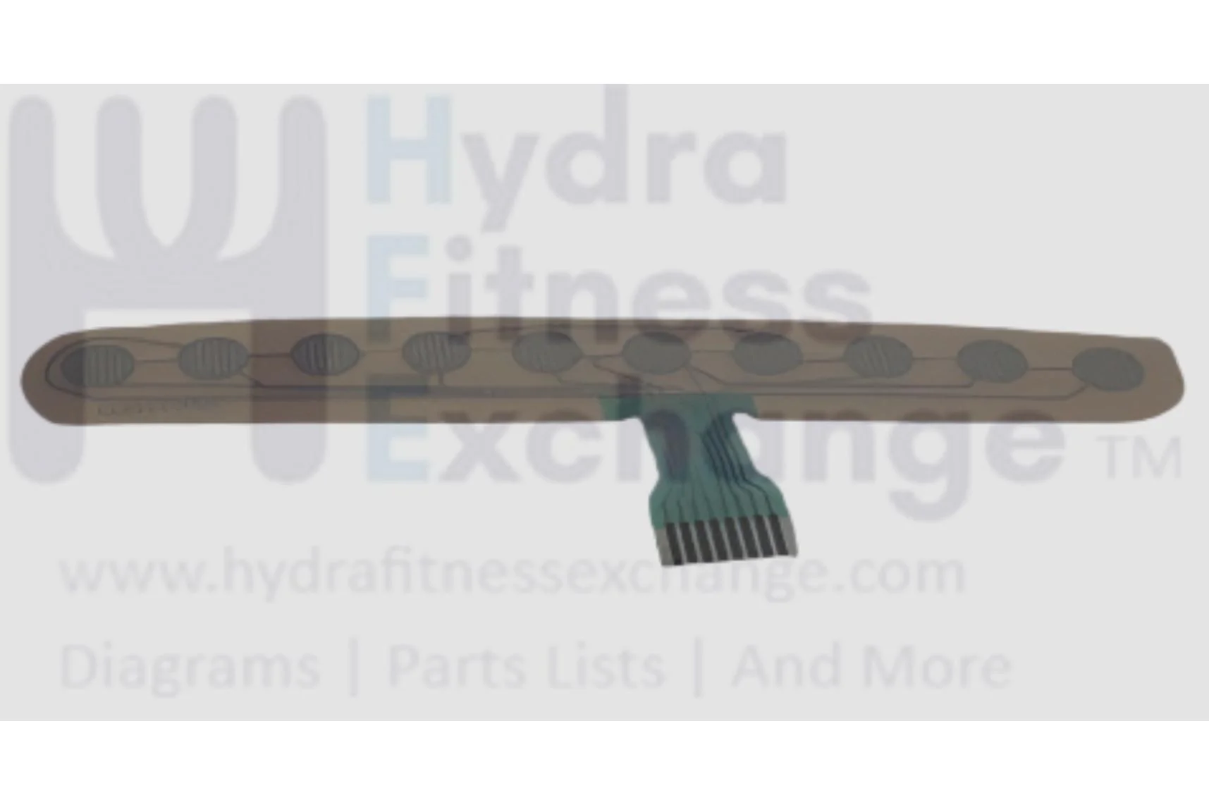 Horizon Fitness CT5.4 Treadmill Right Membrane Keypad 1000324833