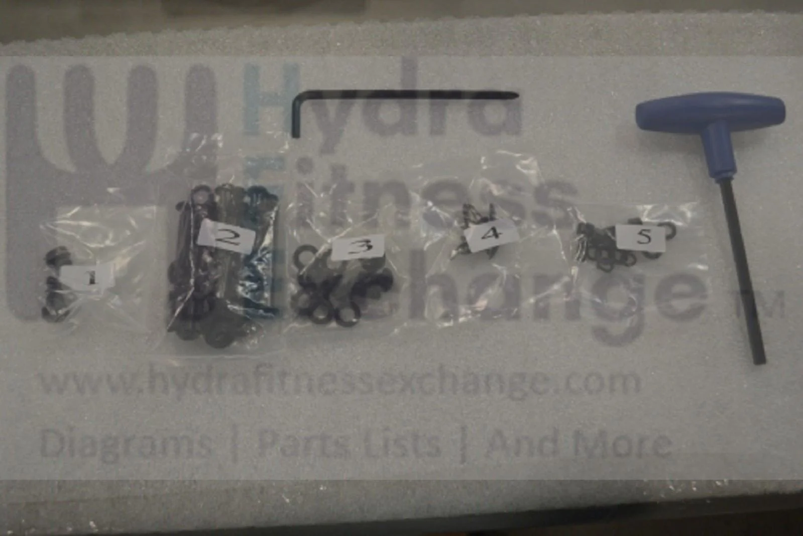 Horizon Fitness CT9.3 - TM444B T303 - TM444 Treadmill Hardware Set 1000225218