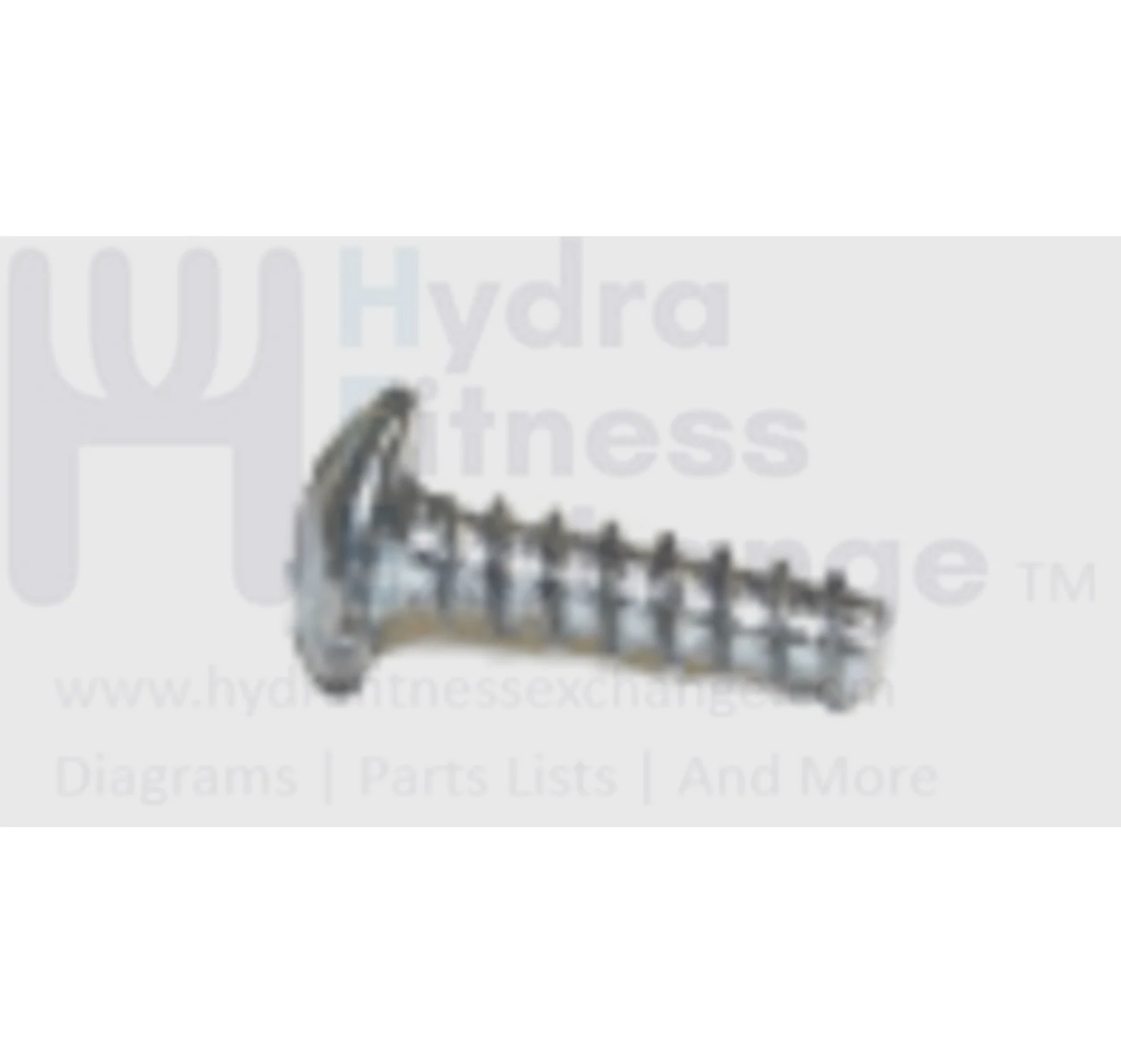 Horizon Fitness E1200 - EP178 Elliptical Umbrella Phillip Tapped Screw 4x15 078938